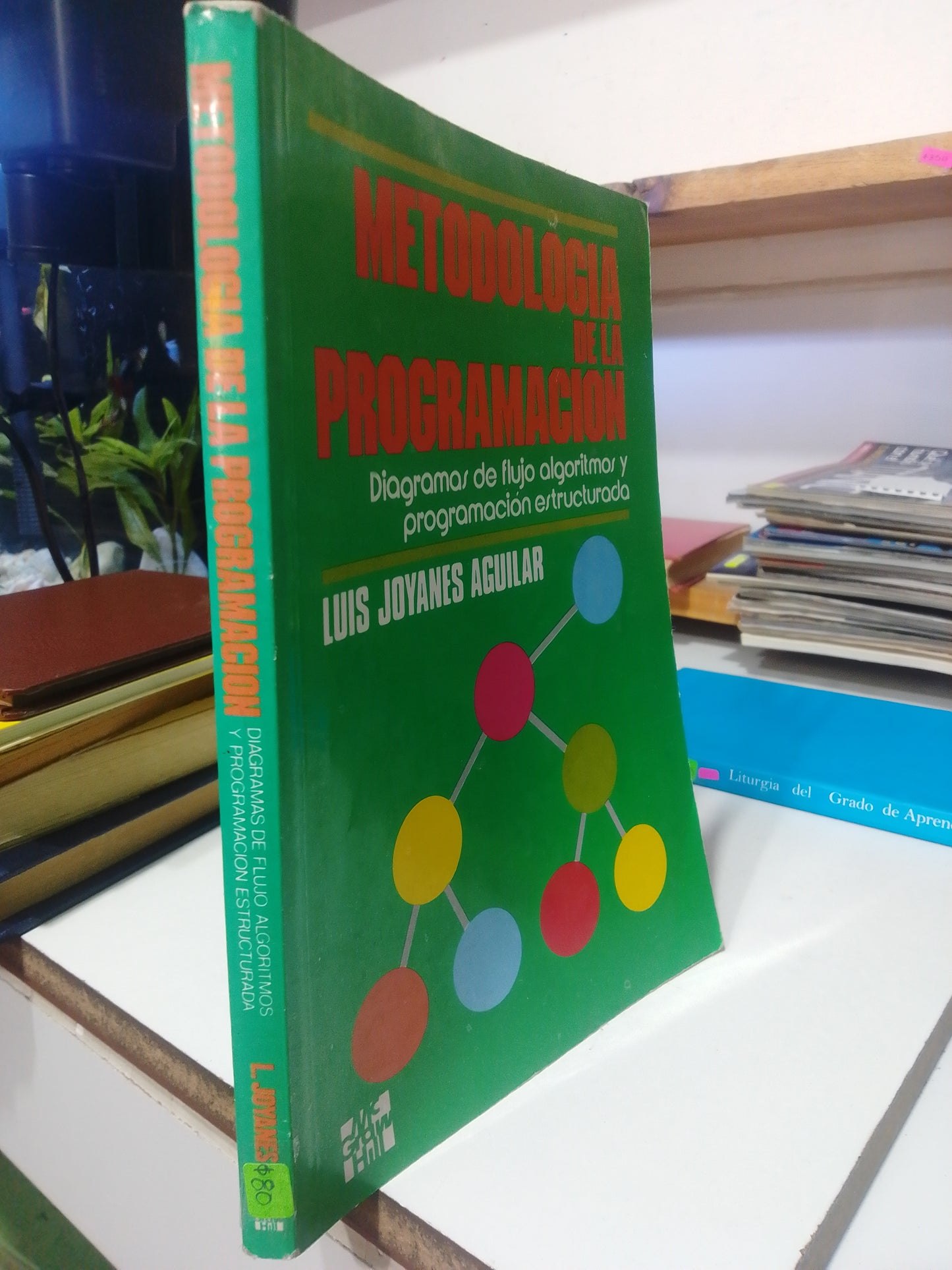 METODOLOGIA DE LA PROGRAMACION POR LUIS JOYANES AGUILAR USADO MATEMÁTICAS JUAREZ
