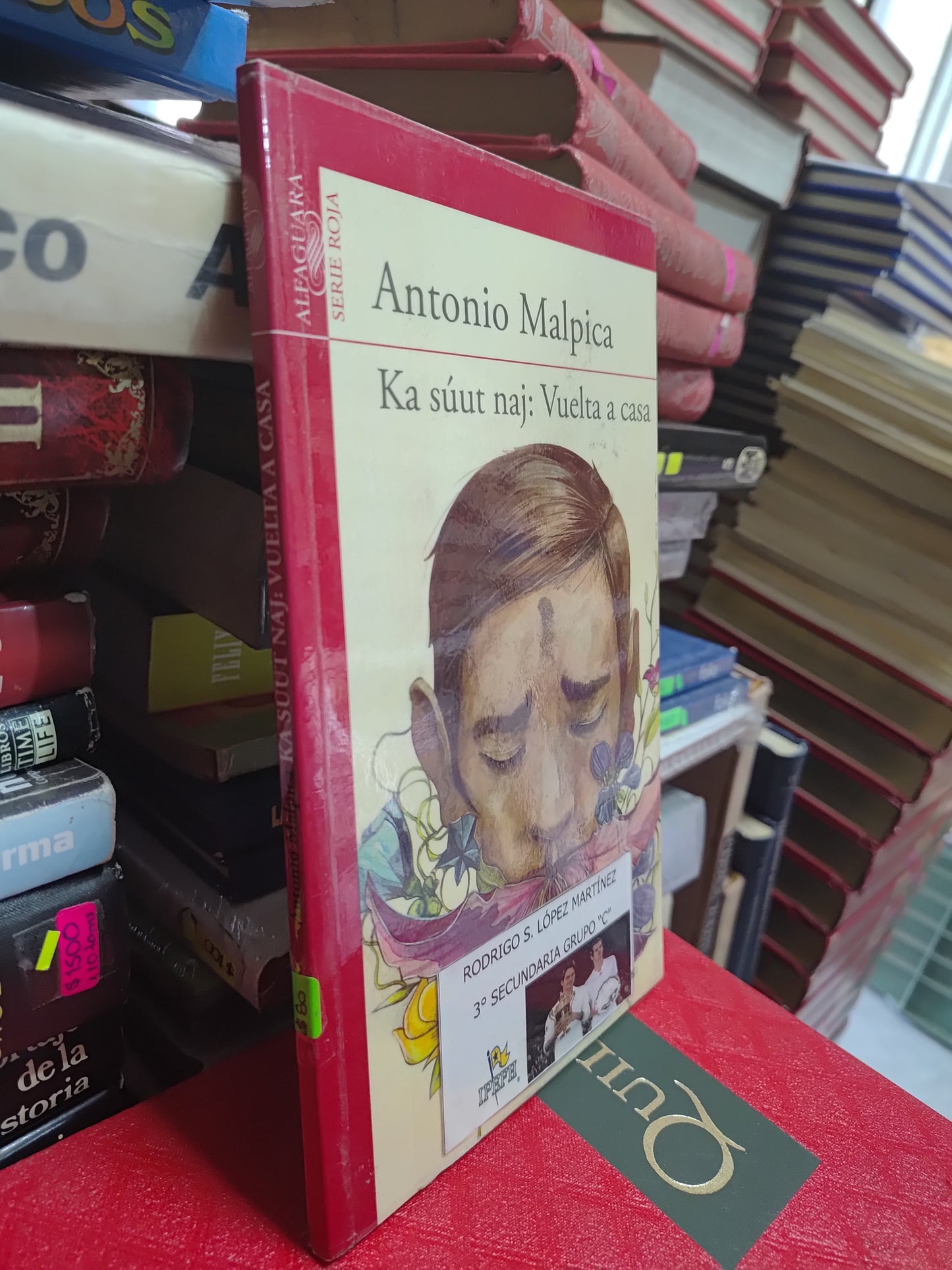 VUELTA A CASA POR ANTONIO MALPICA USADO NOVELAS JUAREZ 507
