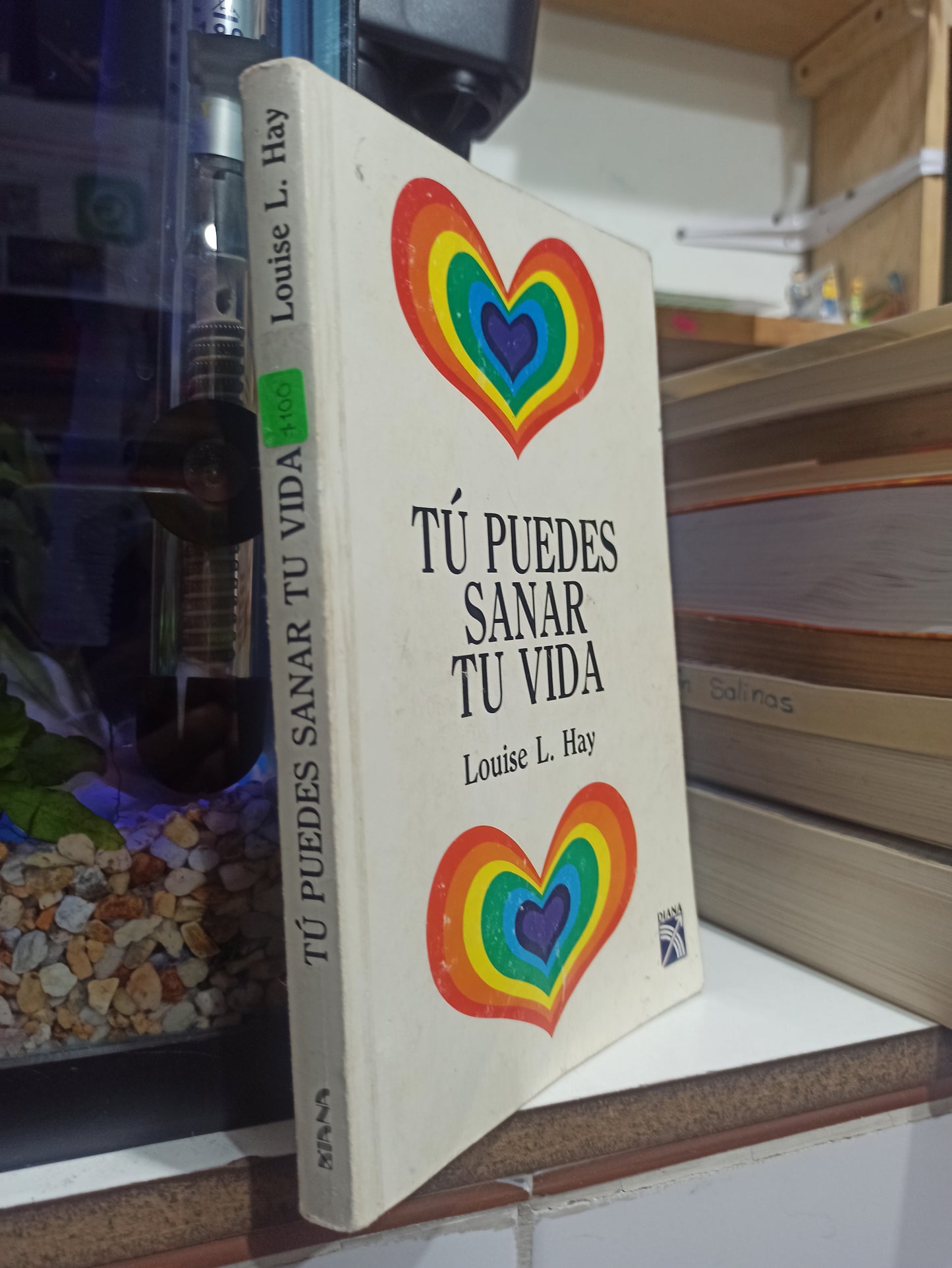 TU PUEDES SANAR TU VIDA POR LOUISE L. HAY USADO SUP PERSONAL JUÁREZ