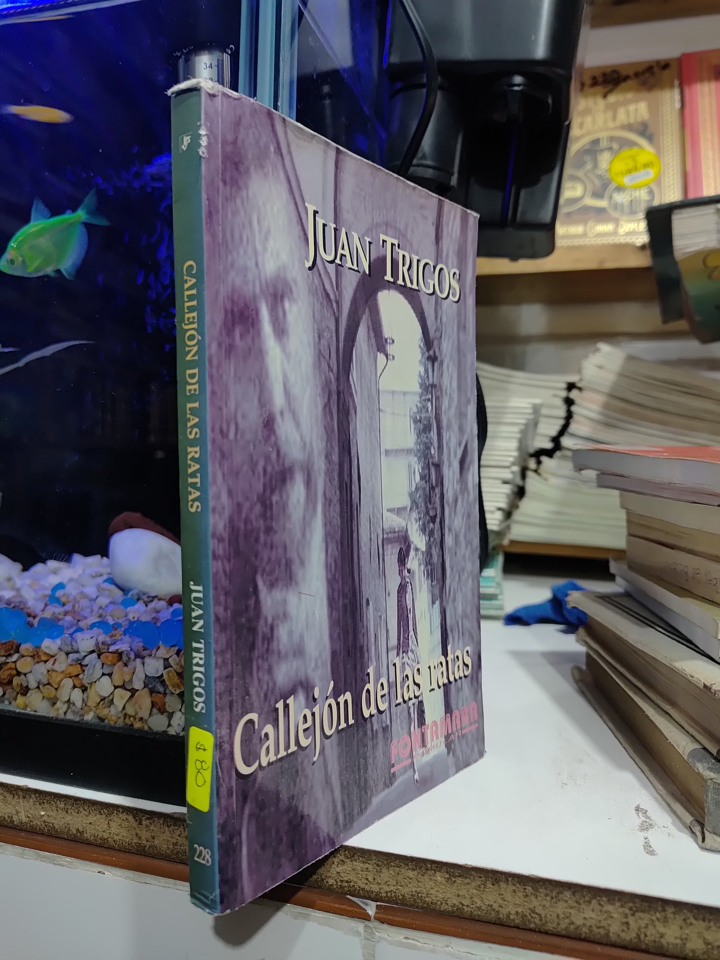 CALLEJON DE LAS RATAS POR JUAN TRIGOS USADO NOVELAS JUAREZ