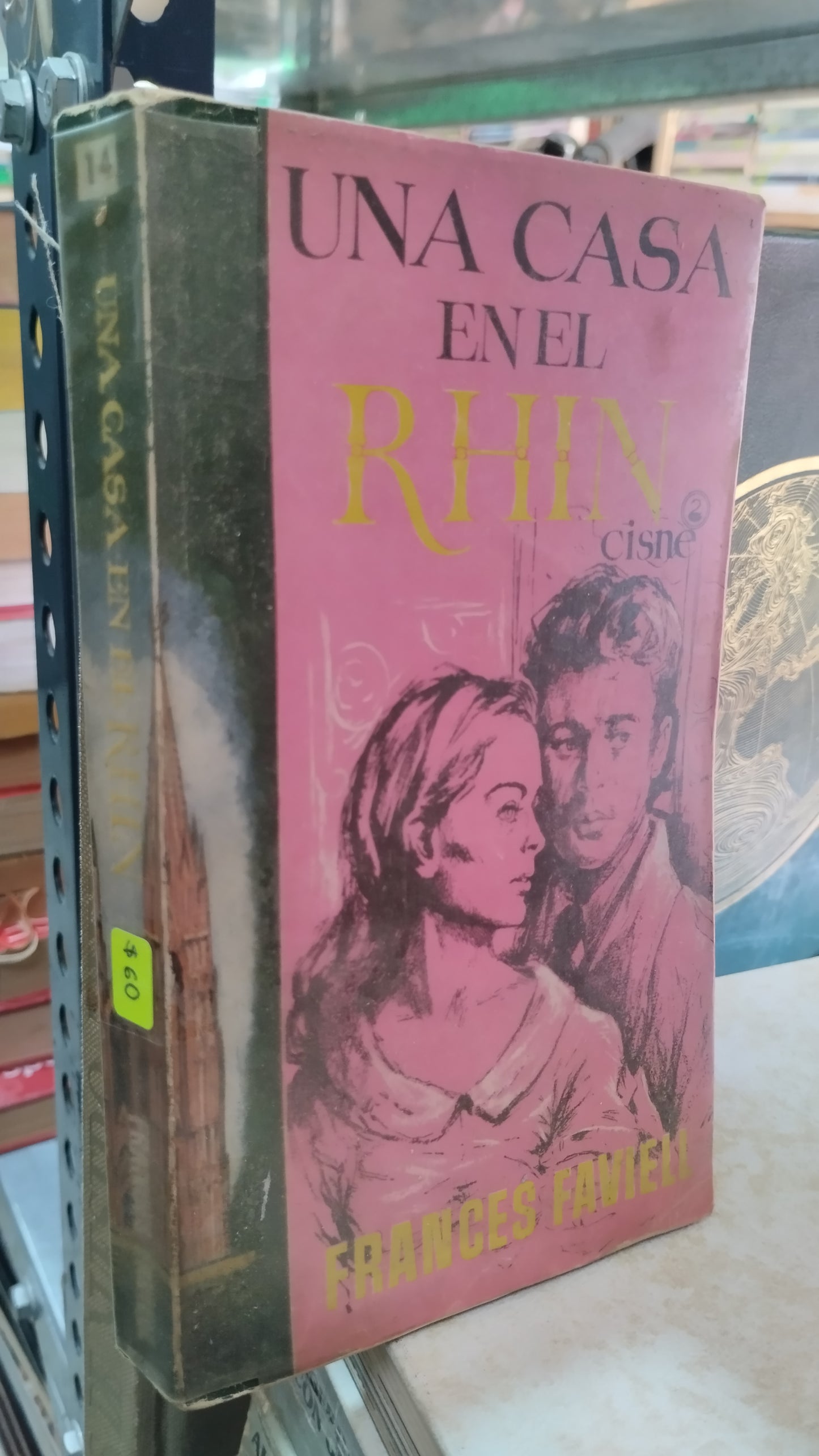 UNA CASA EN EL RHIN POR FRANCES FAVIELL LIBRO USADO NOVELAS ALDAMA