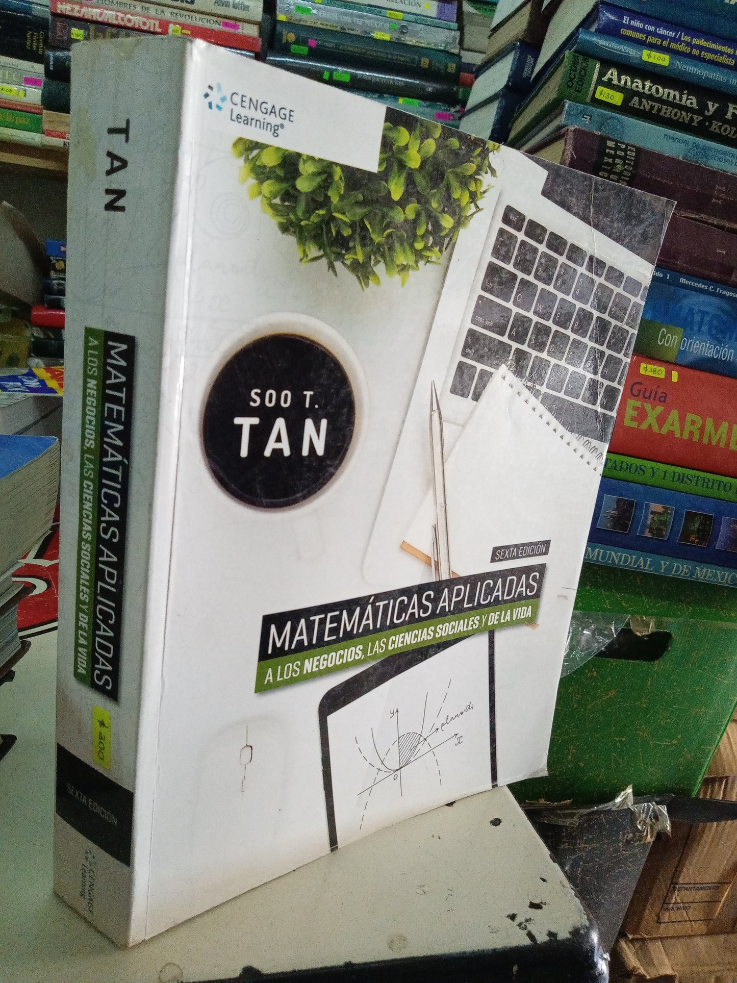 MATEMATICAS A LOS NEGOCIOS, LAS CIENCIAS SOCIALES Y DE LA VIDA POR SOO T. TAN USADO MATEMATICAS LITERARIO 207