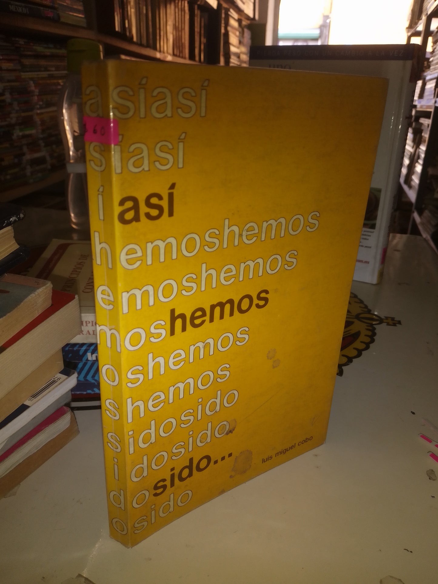 ASÍ HEMOS SIDO POR LUIS MIGUEL COBO USADO NOVELA LITERARIO 207