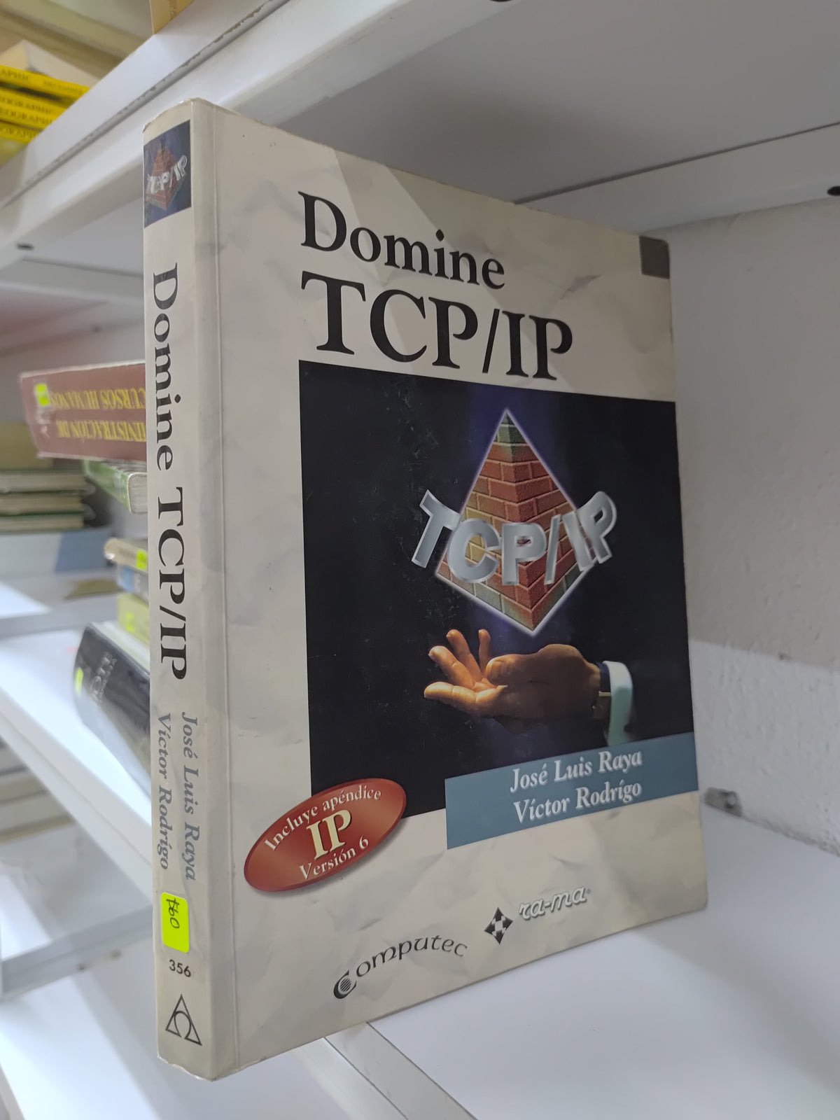 DOMINE TCP IP POR JOSE LUIS RAYA USADO COMPUTACION JUAREZ 515