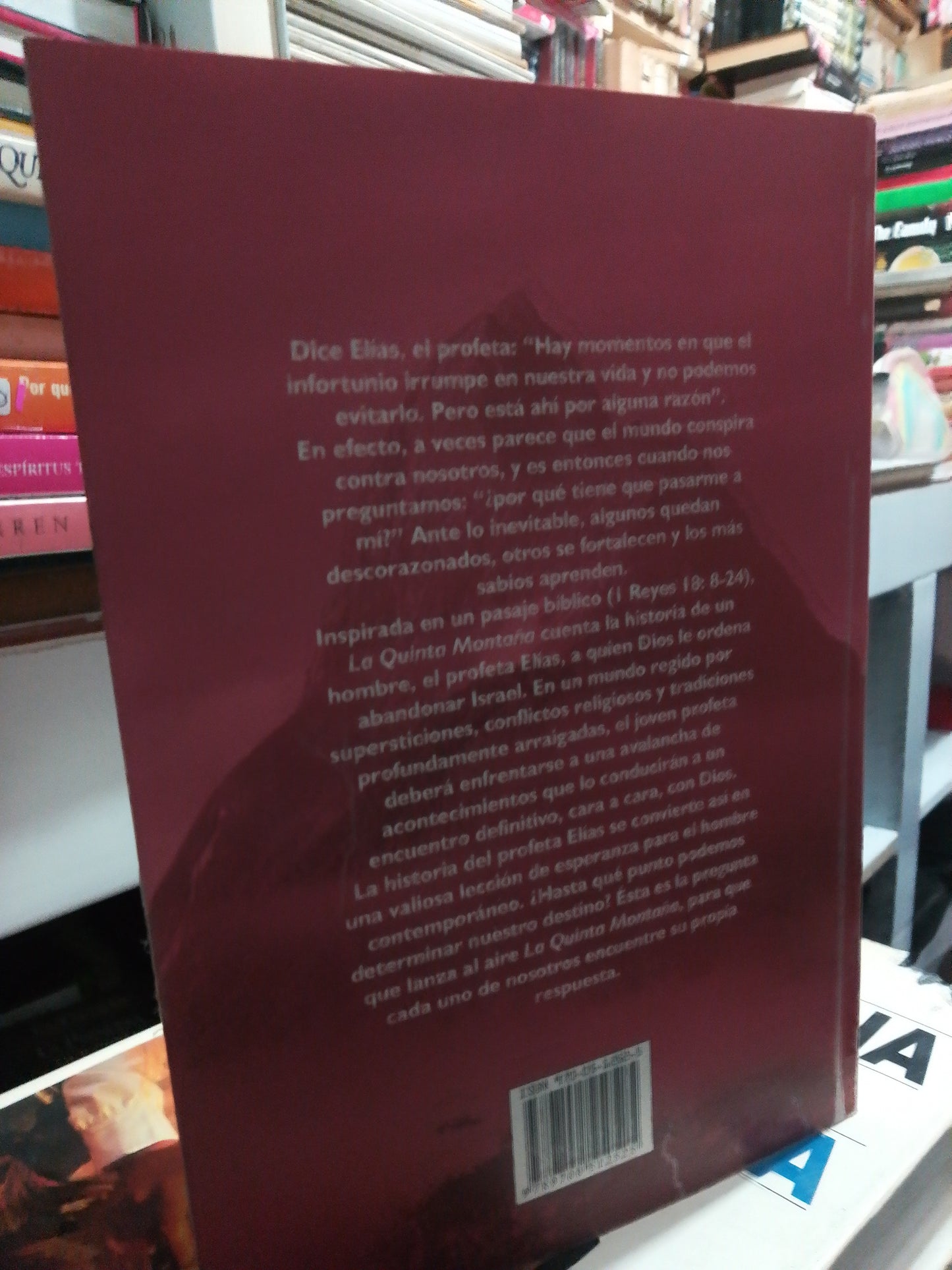 LA QUINTA MONTAÑA POR PAULO COELHO USADO SUPERACIÓN PERSONAL JUÁREZ