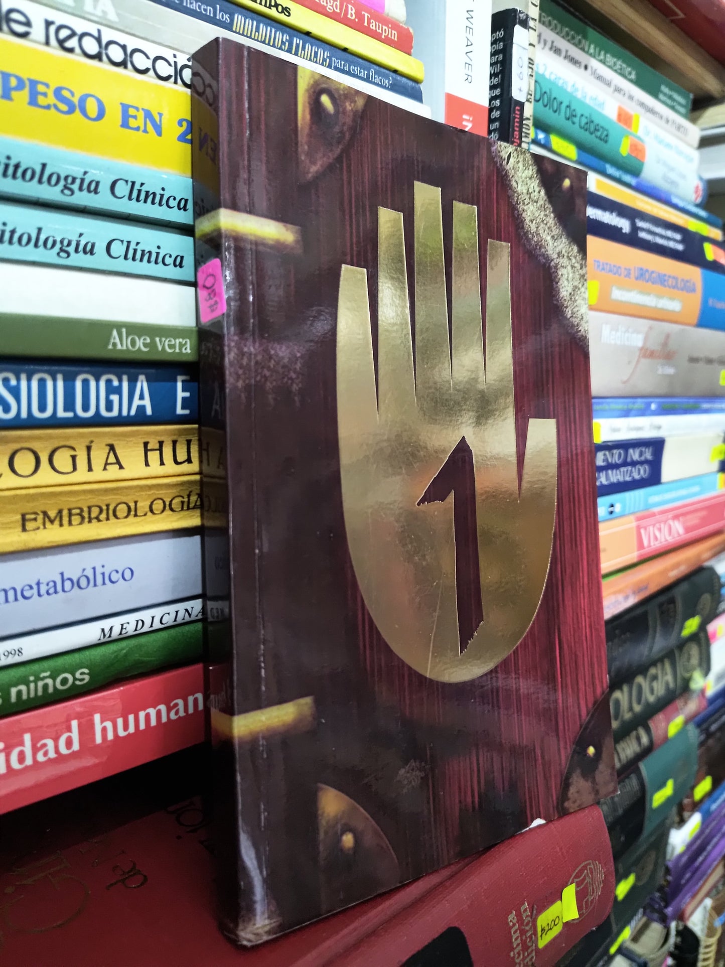 DIARIO 1 POR ALEX HIRSH USADO INFANTILES LITERARIO 305