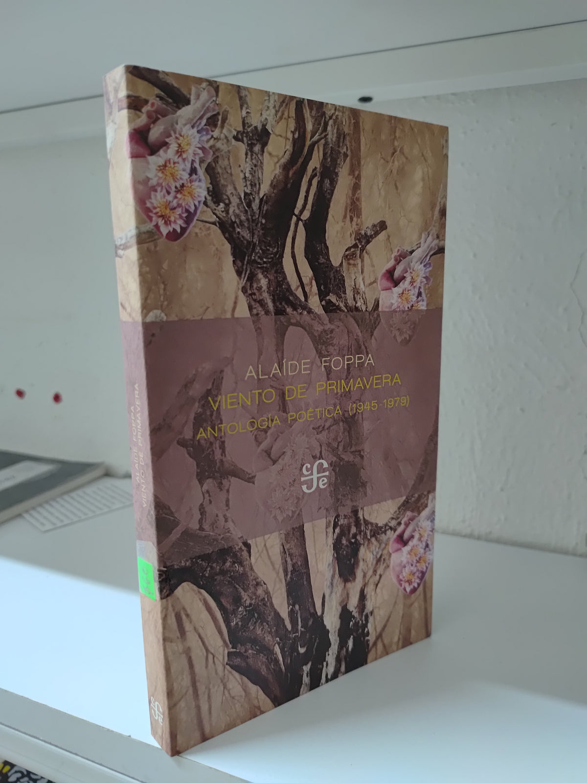 VIENTO DE PRIMAVERA POR ALAIDE FOPPA USADO POESIA JUAREZ 515
