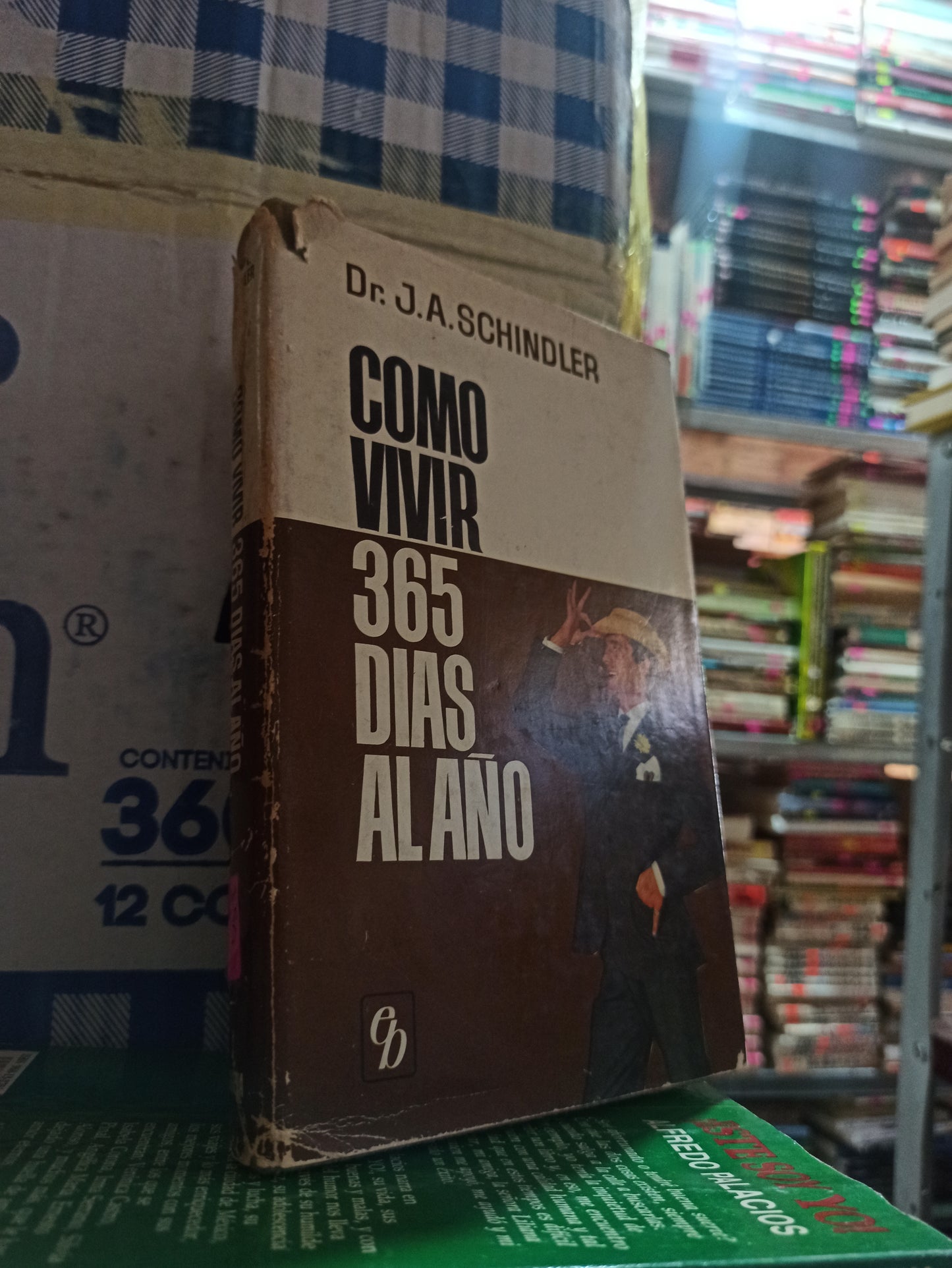 COMO VIVIR 365 DIAS AL AÑO POR J. A. SCHINDLER USADO NOVELAS ALDAMA