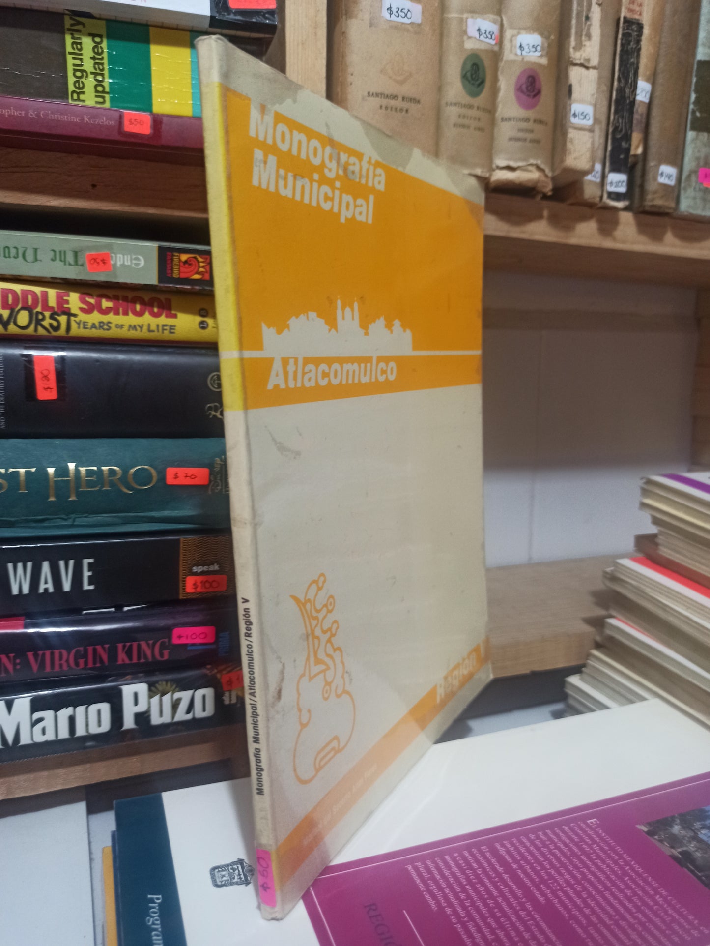 MONOGRAFIA MUNICIPAL ATLACOMULCO POR MARISOL DEL SOCORRO ARIAS USADO EDOMEX JUÁREZ