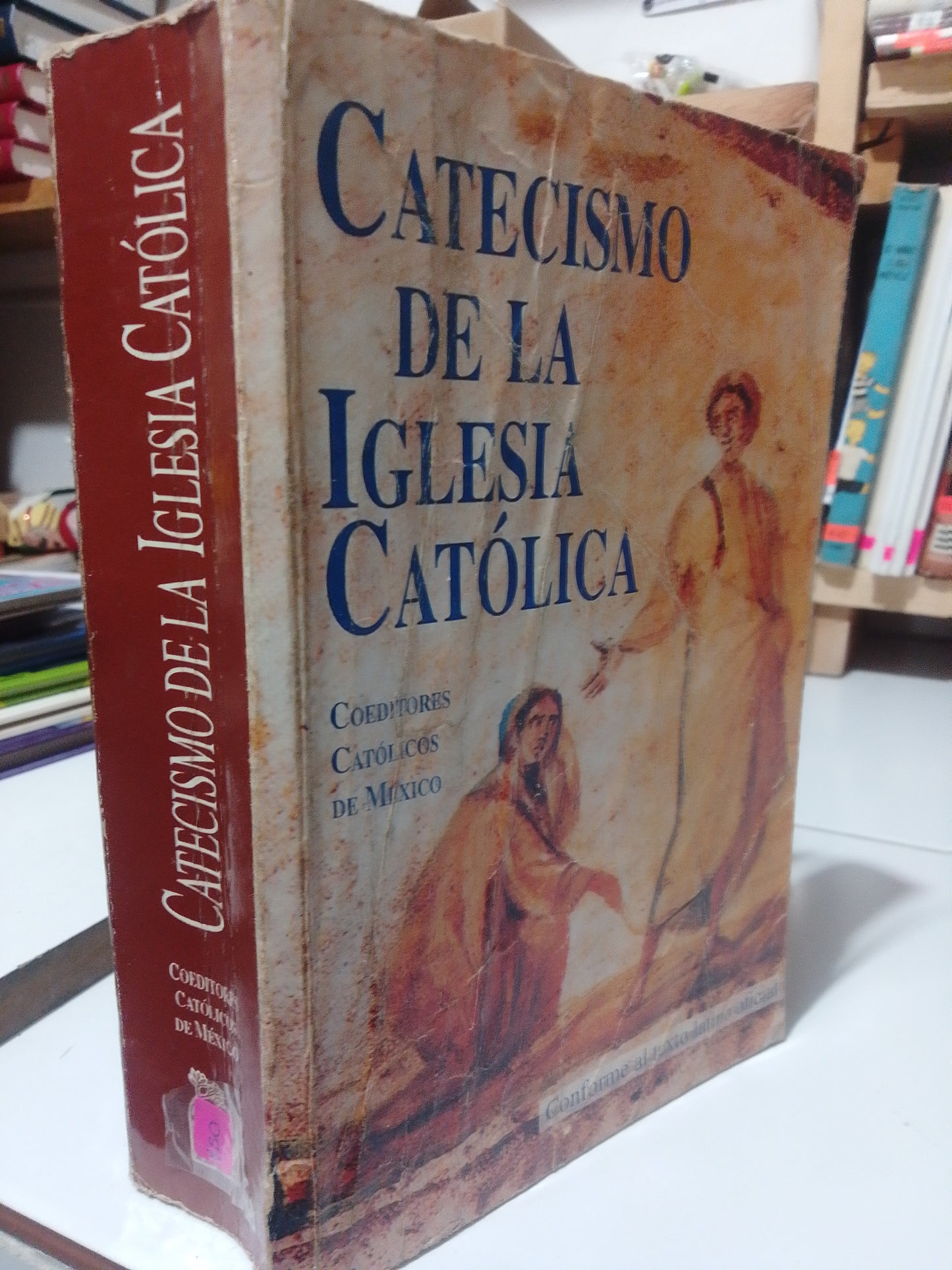 CATECISMO DE LA IGLESIA CATOLICA USADO RELIGION JUAREZ
