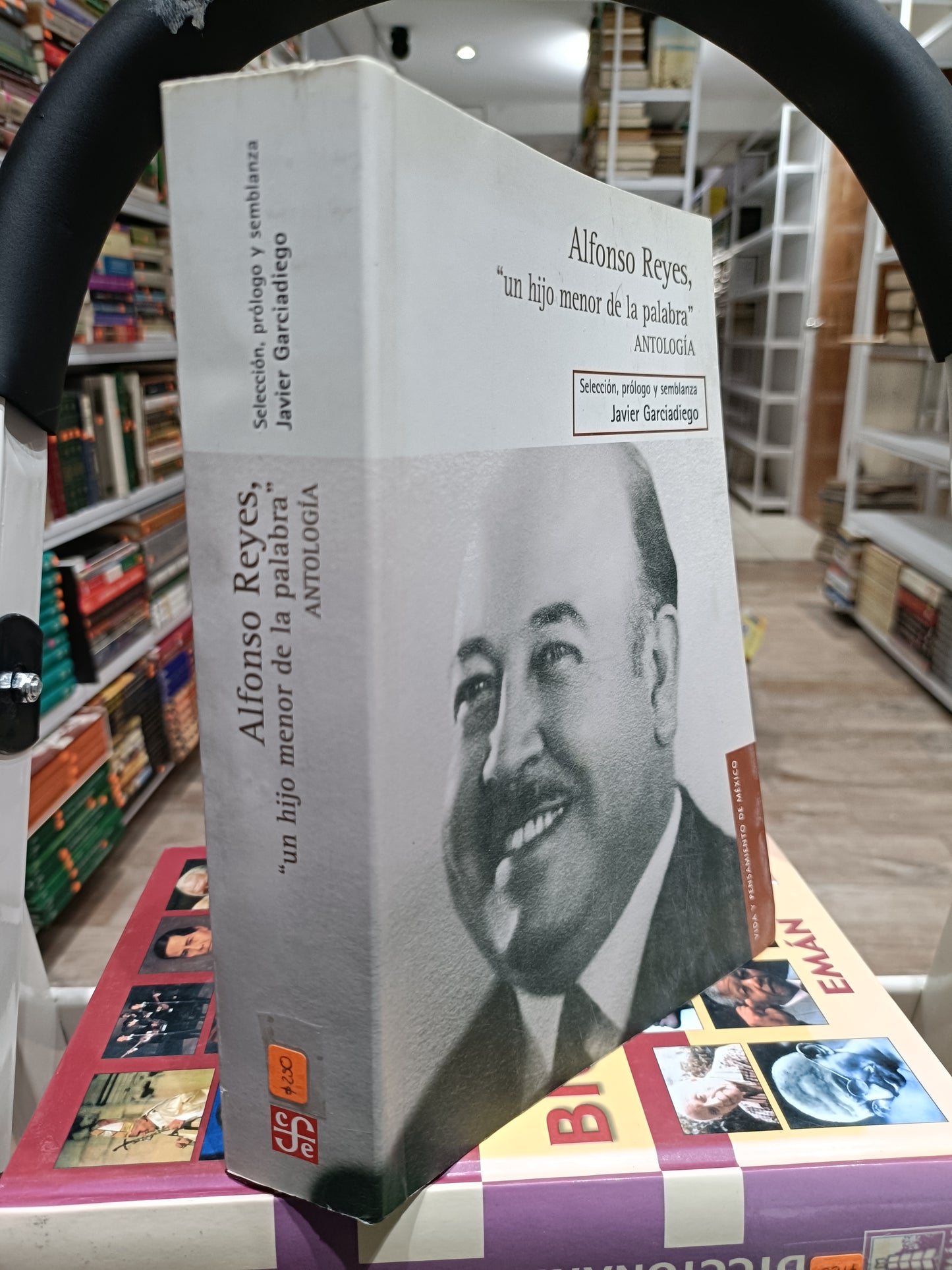 UN HIJO MENOR DE LA PALABRA POR ALFONSO REYES ANTOLOGIA USADOS HISTORIA JUAREZ 515