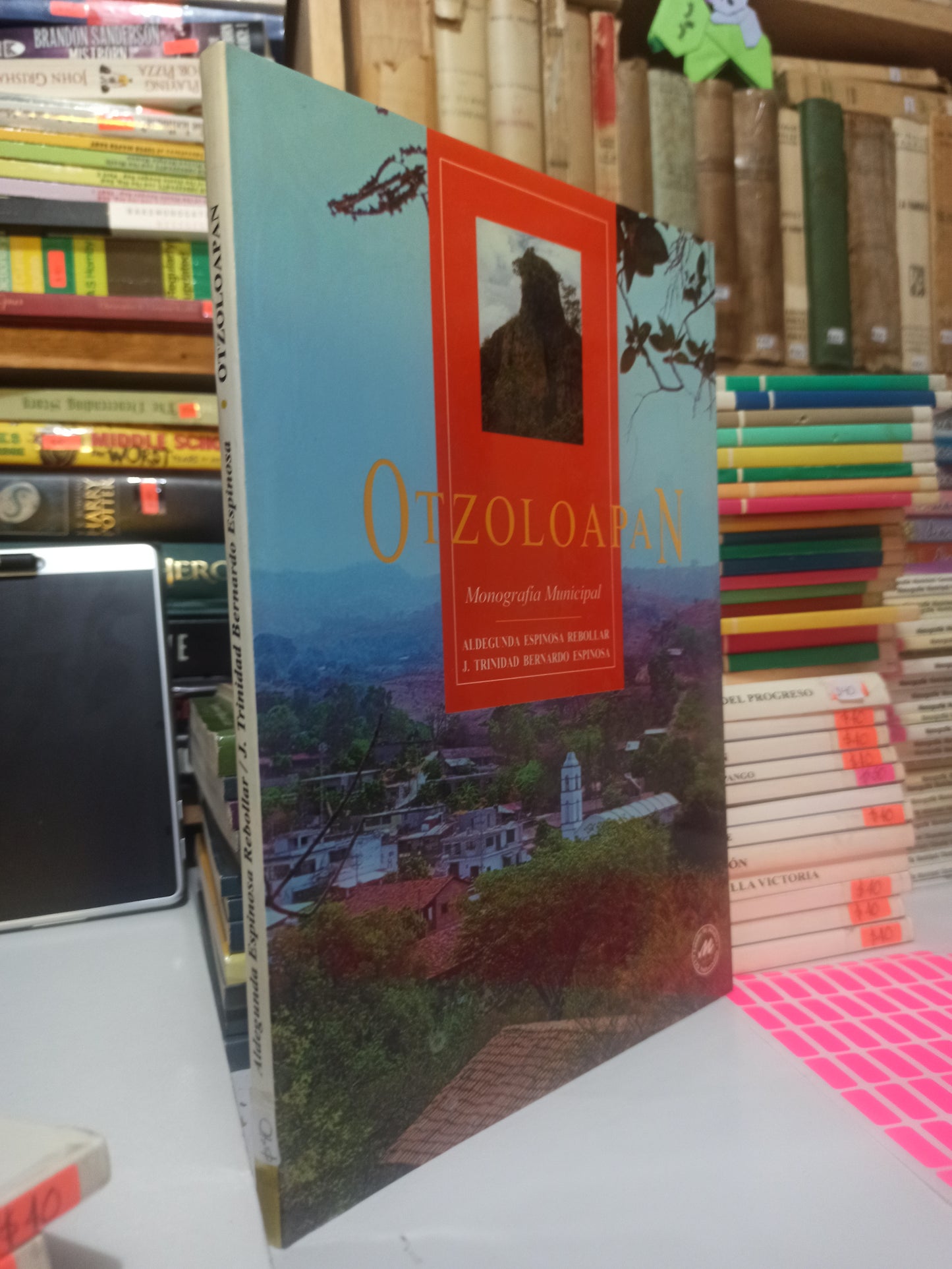 OTZOLOAPAN POR ALDEGUNDA ESPINOSA REBOLLAR USADO EDOMEX JUÁREZ
