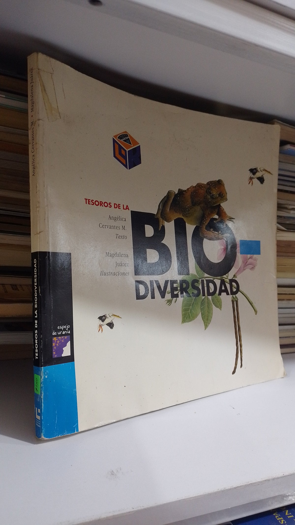 TESOROS DE LA BIODIVERSIDAD POR ANGELICA CERVANTES USADO BIOLOGIA JUAREZ 507