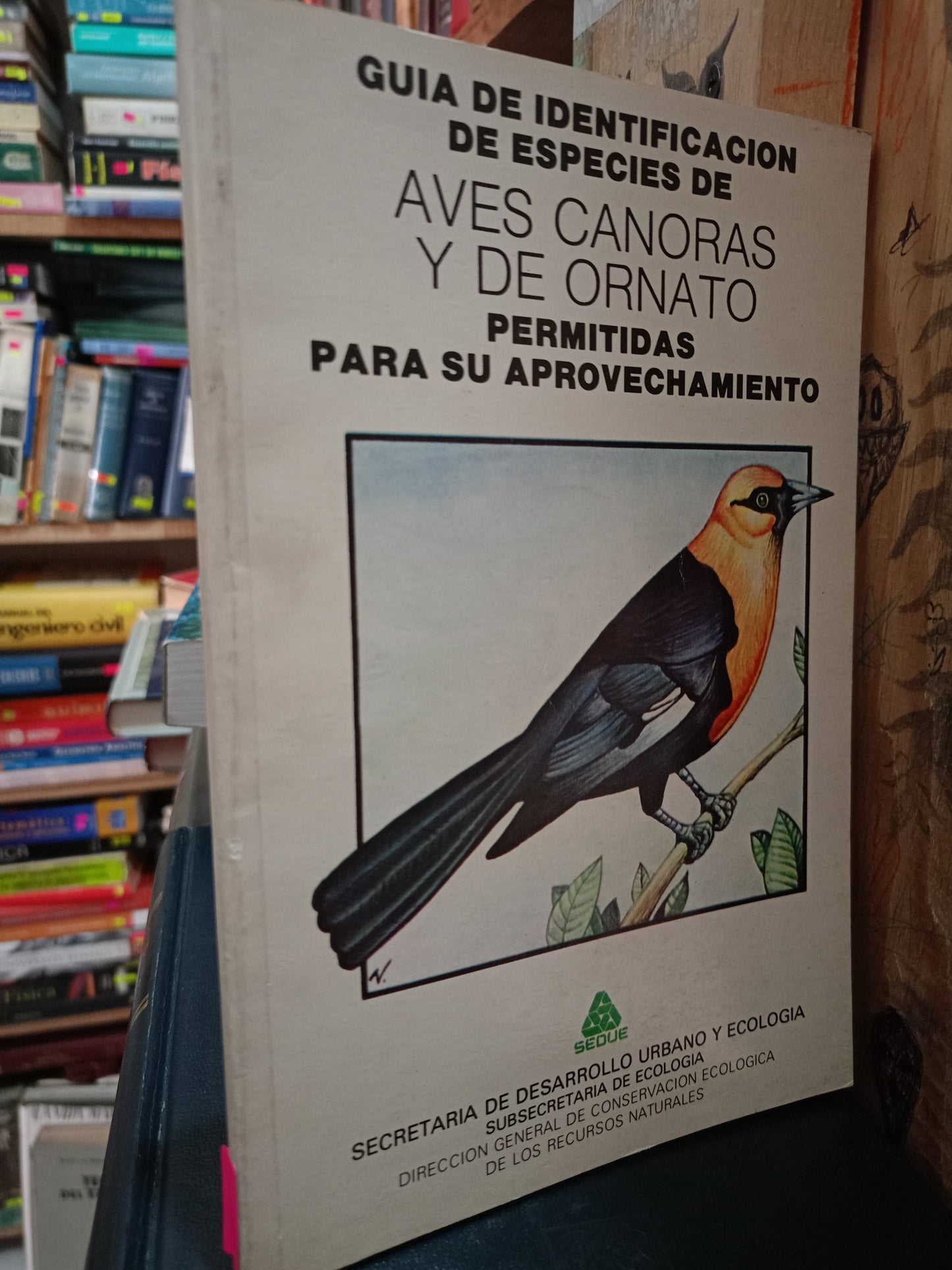 GUIA DE IDENTIFICACION DE ESPECIES DE AVES CANORAS Y DE ORNATO PERMITIDAS PARA SU APROVECHAMIENTO USADO ANIMALES LITERARIO 305