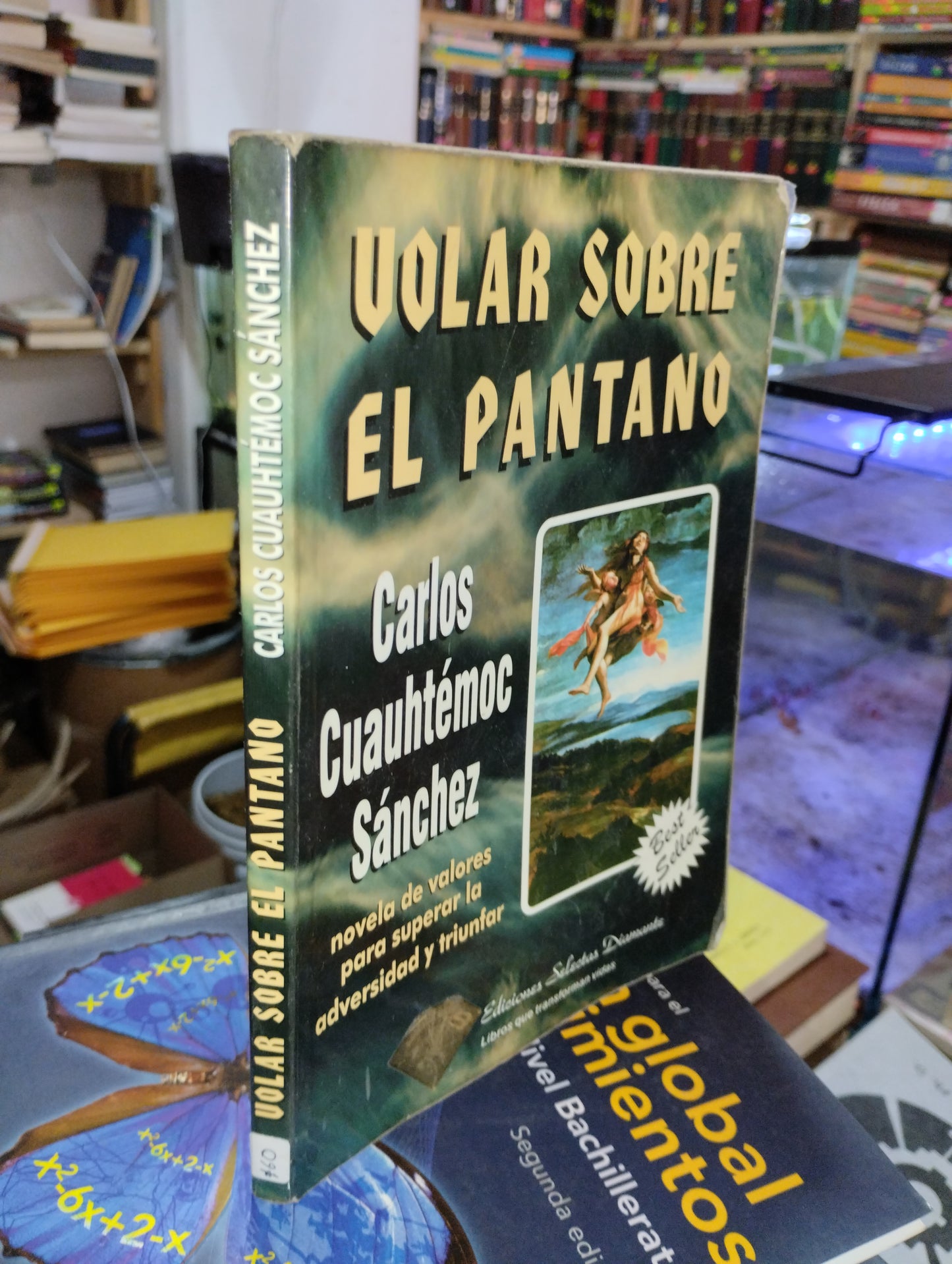 VOLAR SOBRE EL PANTANO POR CARLOS CUAUHTEMOC SANCHEZ USADO SUPERACION PERSONAL ALDAMA