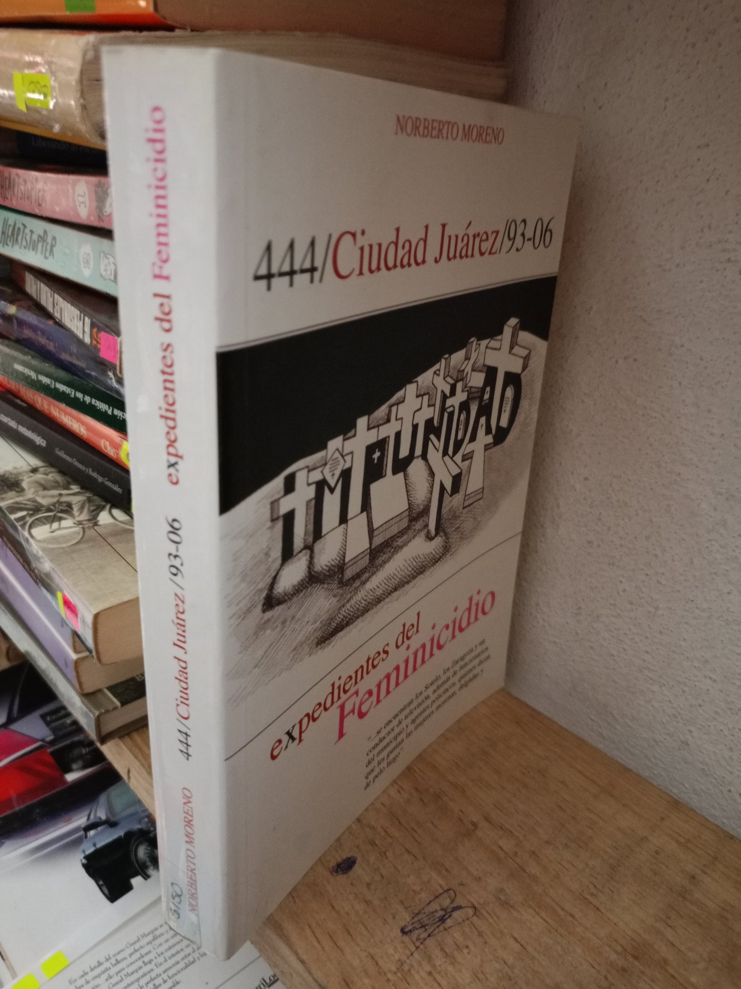 EXPEDIENTES DEL FEMINICIDIO POR NORBERTO MORENO USADO POLITICA LITERARIO 305