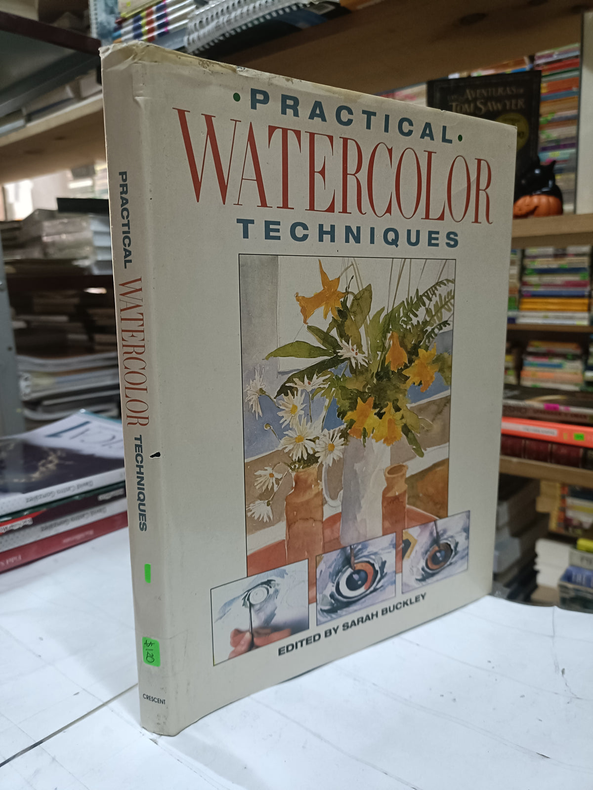 PRACTICAL WATERCOLOR TECHNIQUES POR SARAH BUCKLEY USADO ARTE LITERARIO 207