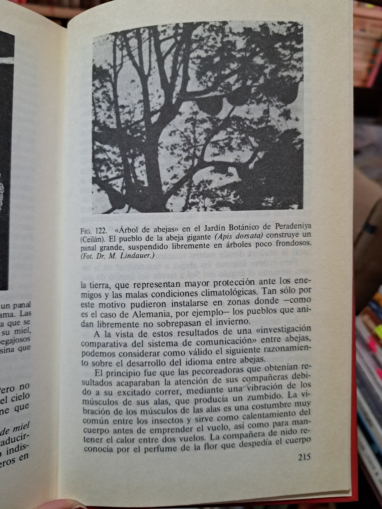 LA VIDA DE LAS ABEJAS KARL VON FRISCH USADO NOVELA LITERARIO 305