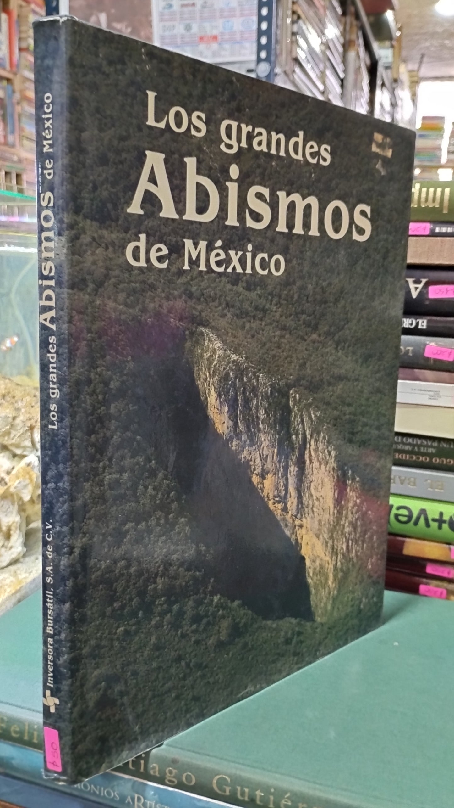 LOS GRANDES ABISMOS DE MEXICO LIBRO USADO ARTE ALDAMA