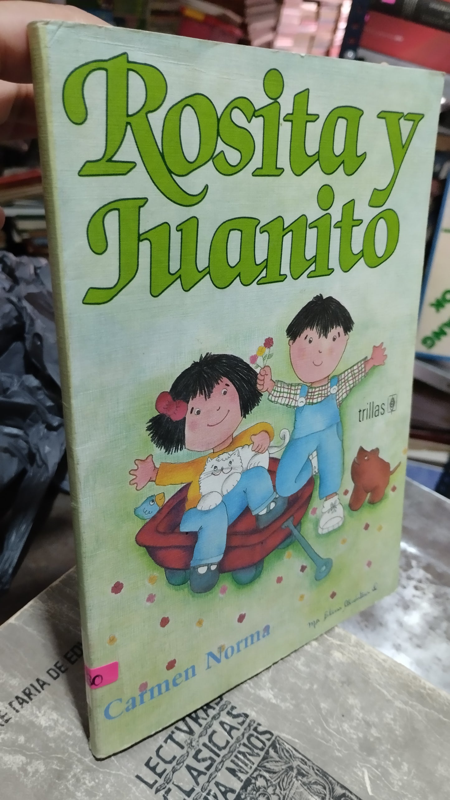 ROSITA Y JUANITO POR CARMEN NORMA LIBRO USADO INFANTIL ALDAMA