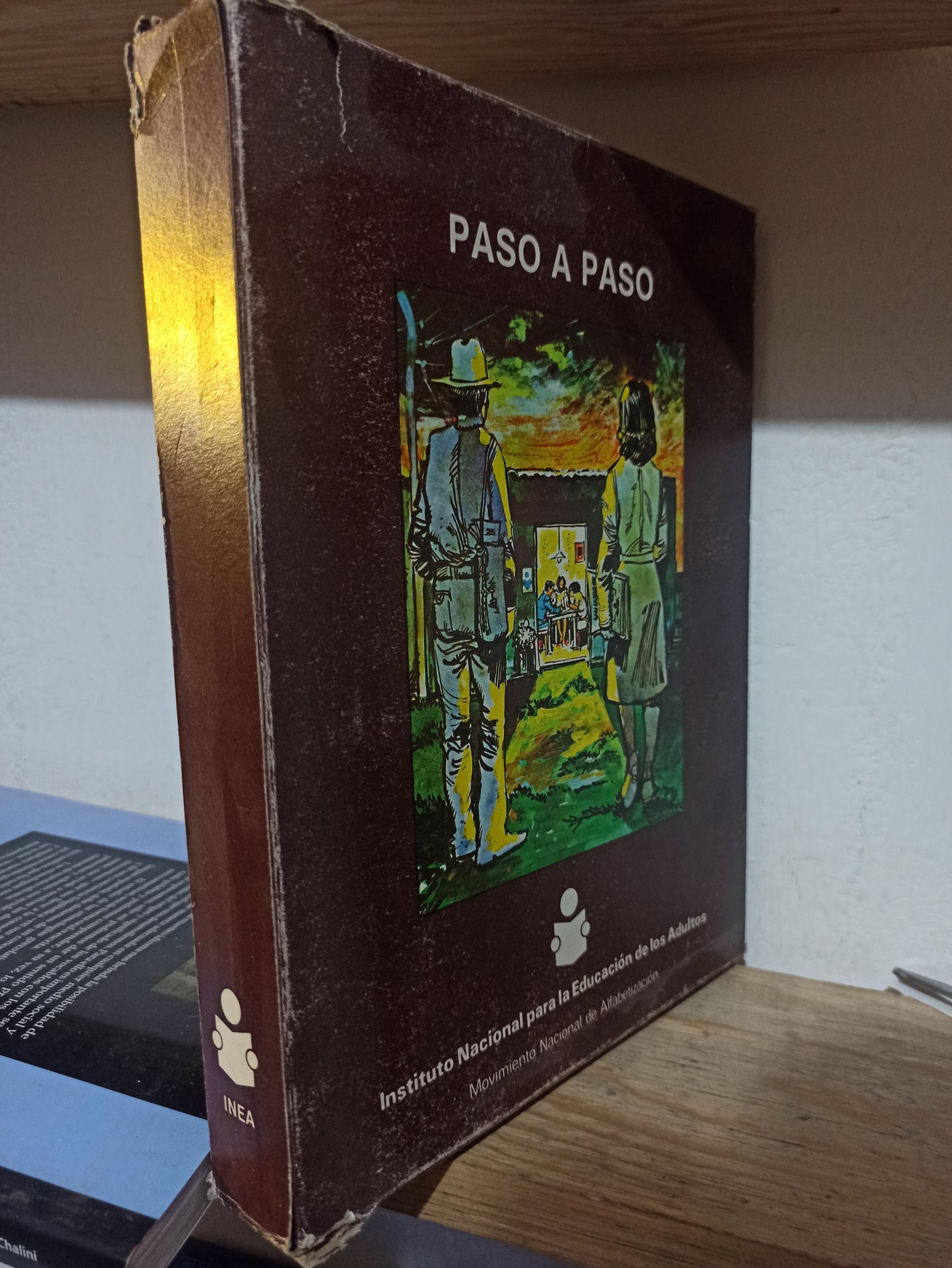PASO A PASO POR LA INES USADO EDUCACIÓN JUÁREZ