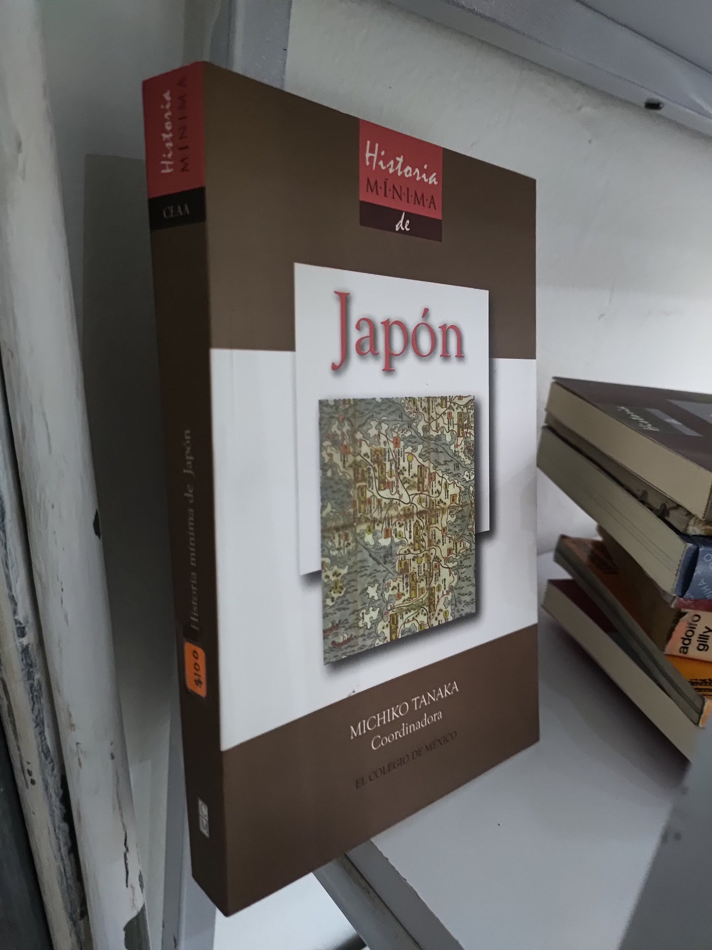 JAPON POR MICHIKO TANAKA USADO HISTORIA JUAREZ 515