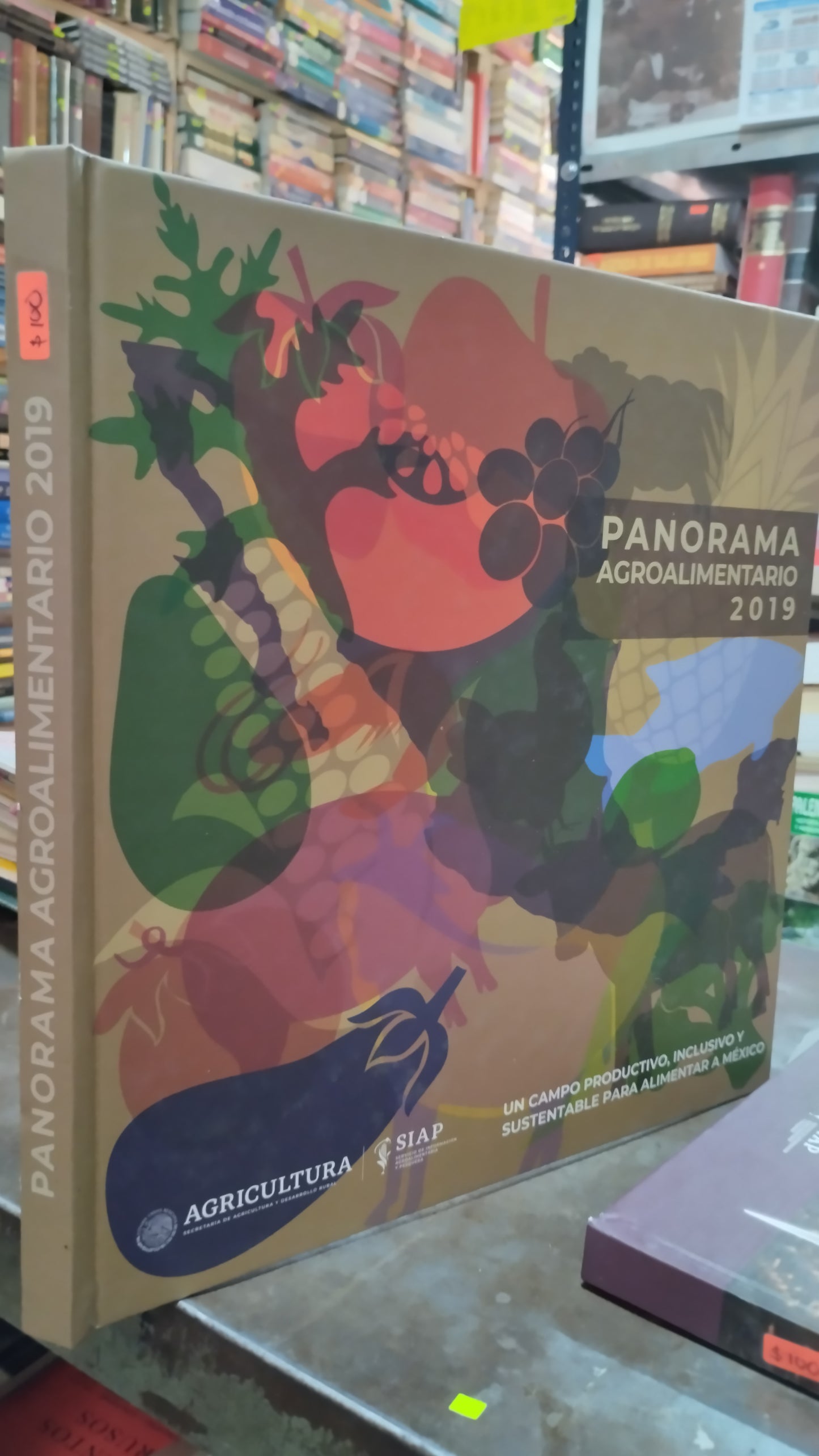 PANORAMA AGROALIMENTARIO 2019 LIBRO USADO AGRICULTURA ALDAMA