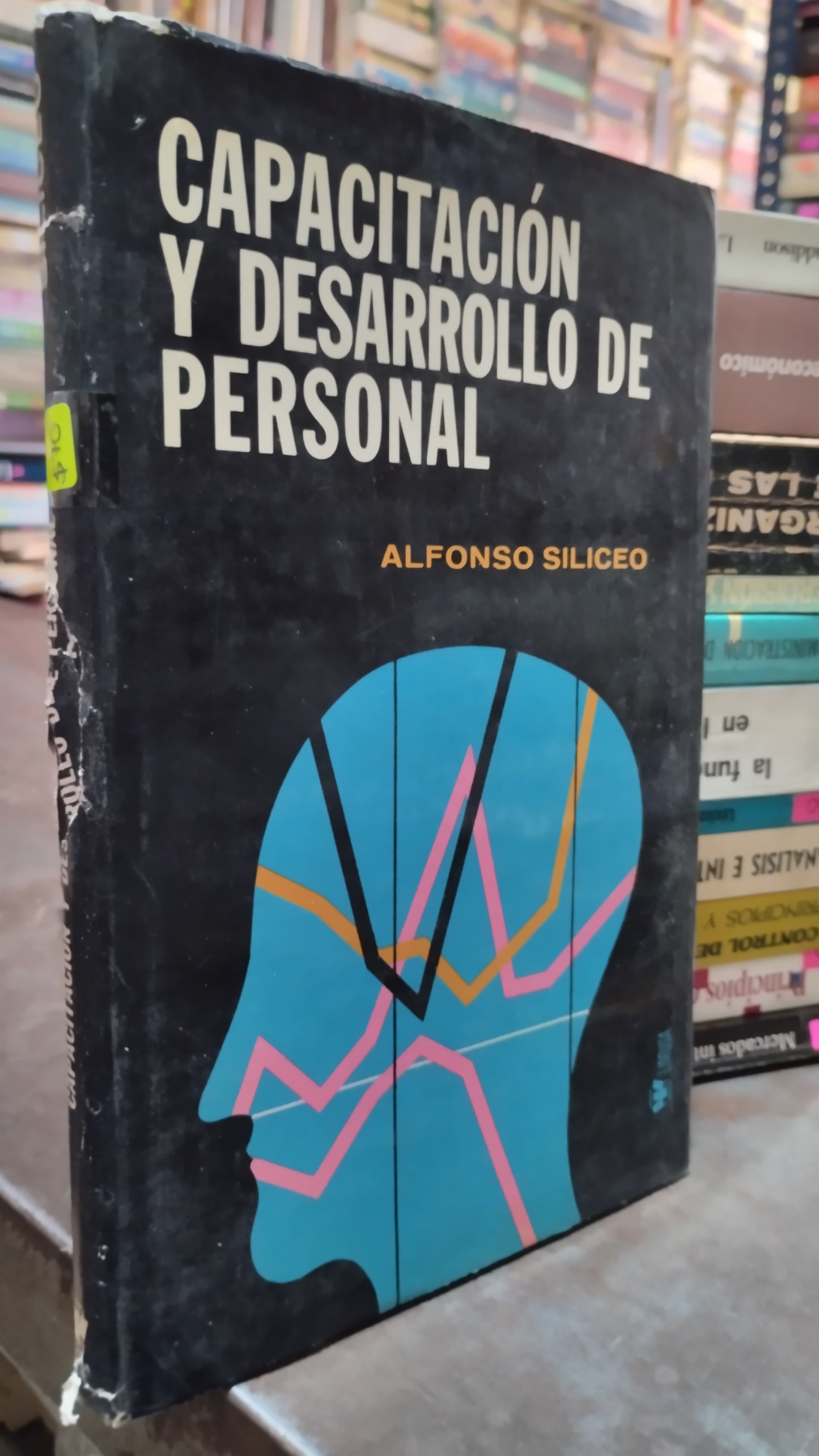 CAPACITACION Y DESARROLLO DE PERSONAL POR ALFONSO SILICEO LIBRO USADO ADMINISTRACION ALDAMA