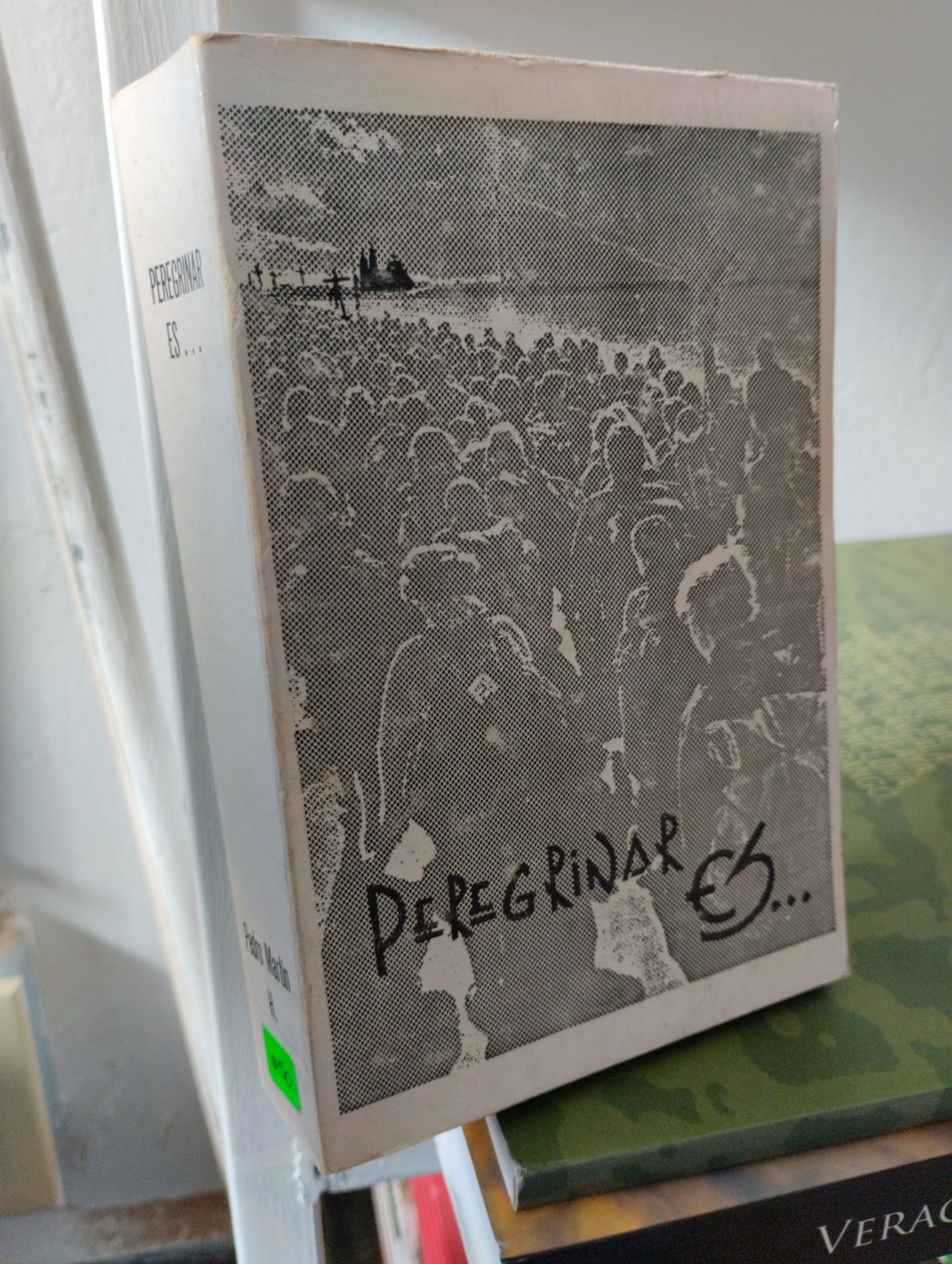 PEREGRINAR ES, PEDRO MARTIN HERNANDEZ, USADO, RELIGION, JUAREZ 515