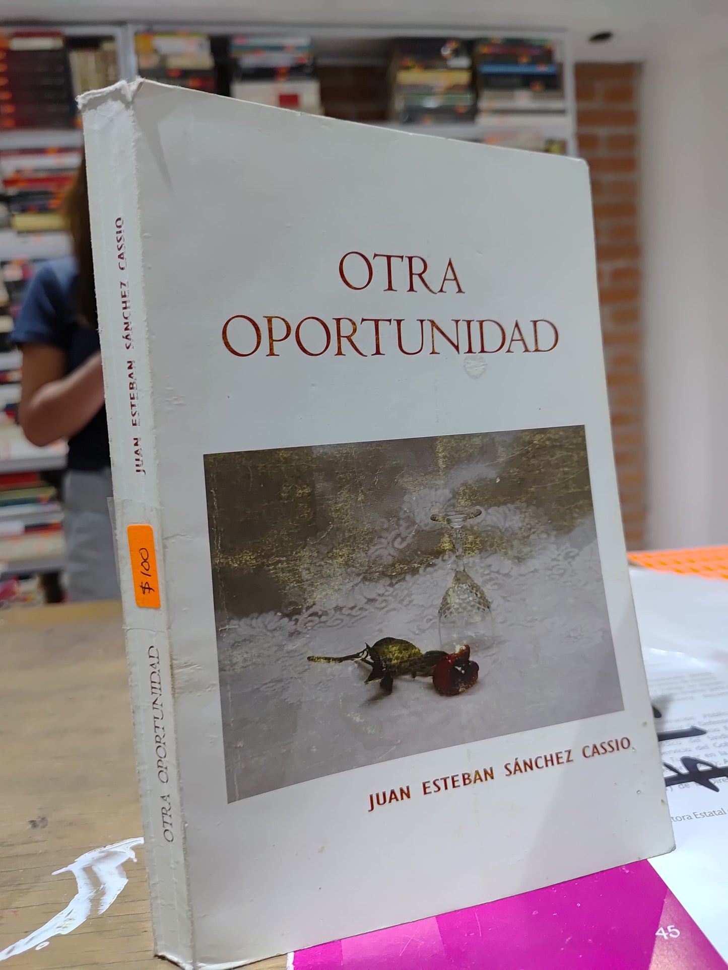 OTRA OPORTUNIDAD POR JUAN ESTEBAN SANCHEZ CASSIO USADO NOVELAS JUAREZ 515