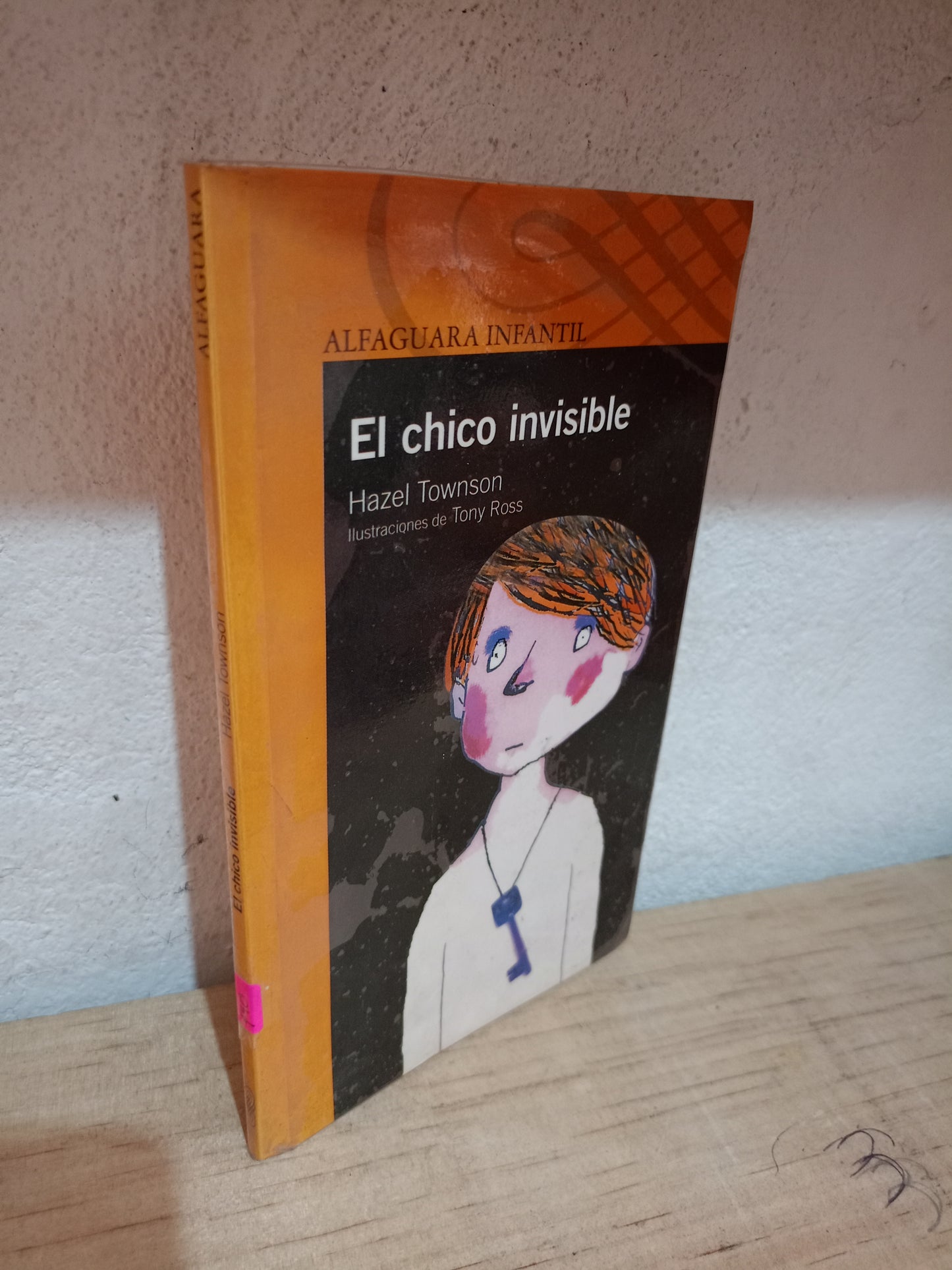 EL CHICO INVISIBLE POR HAZEL TOWNSON USADO INFANTIL LITERARIO 305