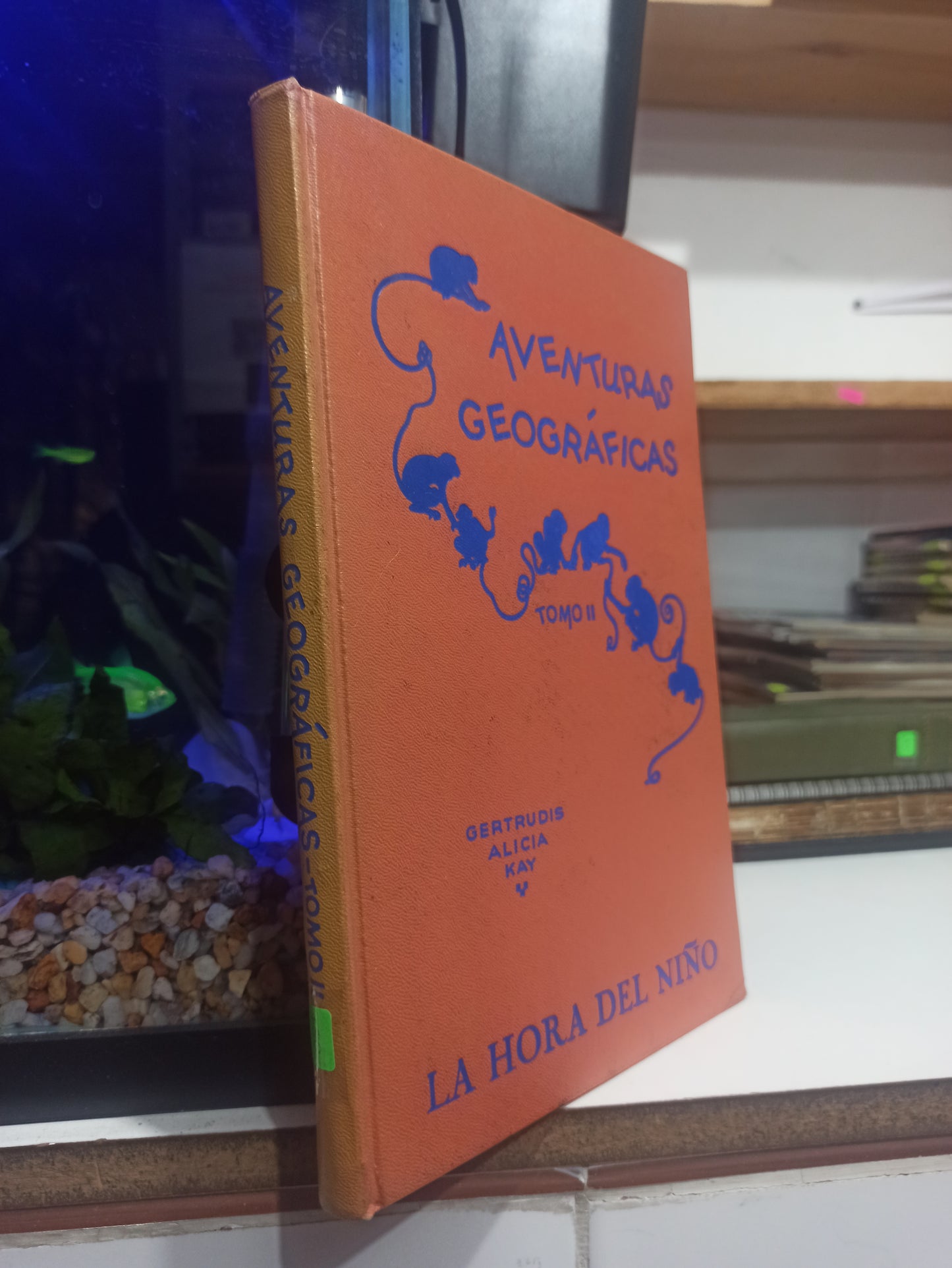 AVENTURAS GEOGRAFICAS POR GERTRUDIS ALICIA KAY USADO INFANTILES JUÁREZ
BUEN ESTADO PASTA DURA EDICIÓN EN ESPAÑOL EDITORIAL W. M. JACKSON