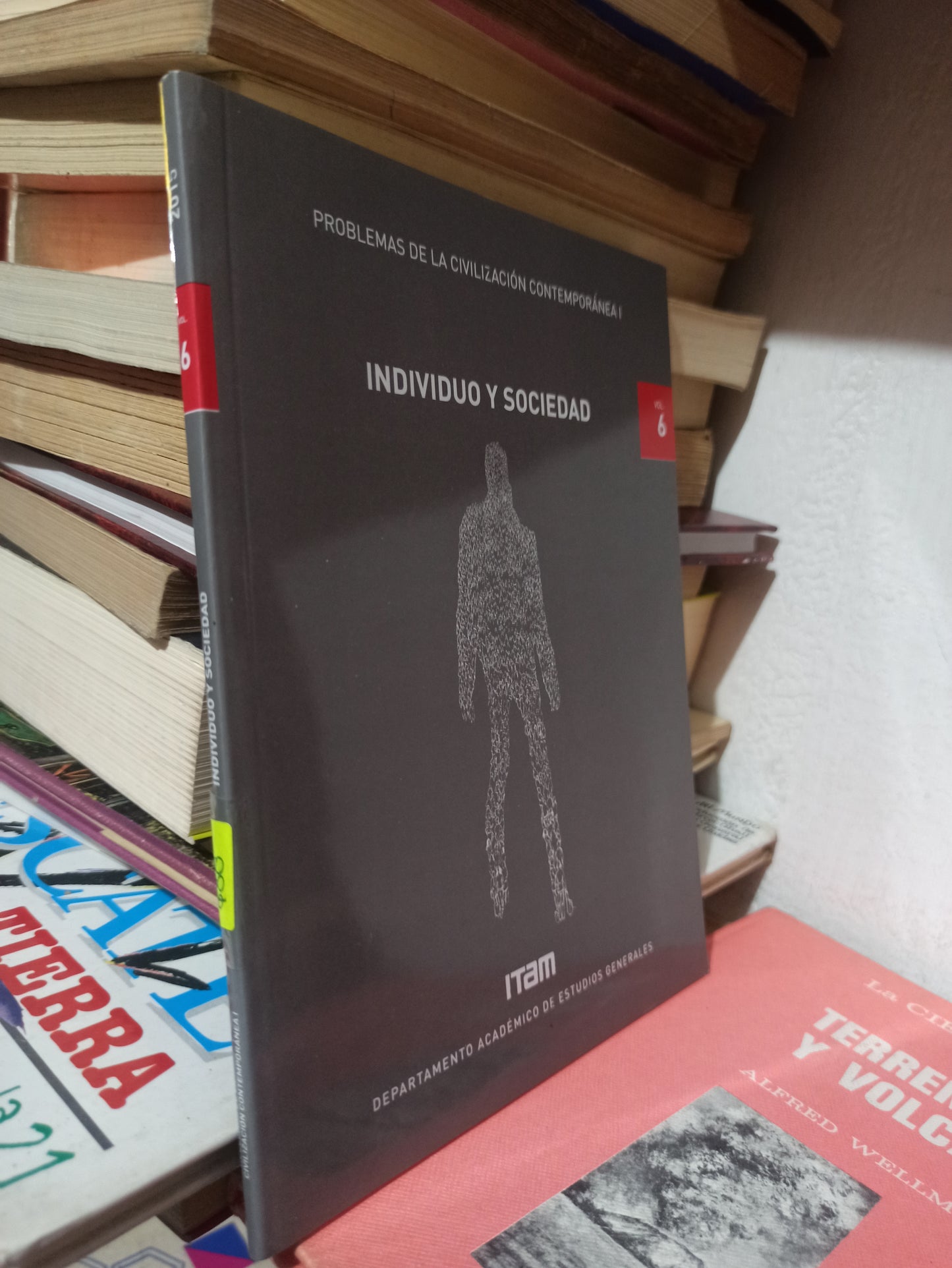 INDIVIDUO Y SOCIEDAD VOL. 6 POR DEPARTAMENTO DE ESTUDIOS GENERALES USADO POLÍTICA JUÁREZ