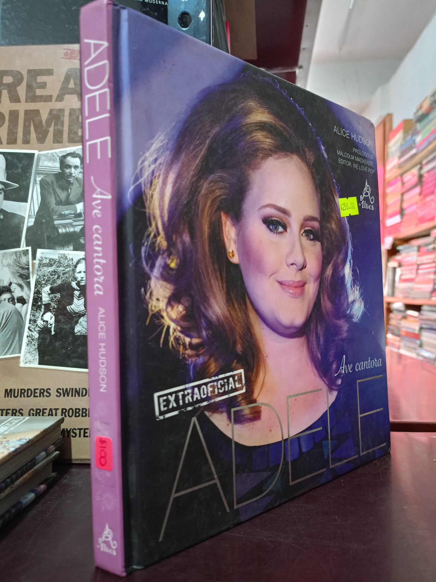 ADELE AVE CANTADORA USADO NOVELA LITERARIO 305