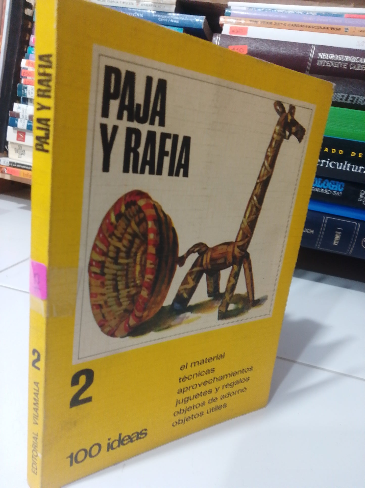 PAJA Y RAFIA USADO OFICIOS JUAREZ