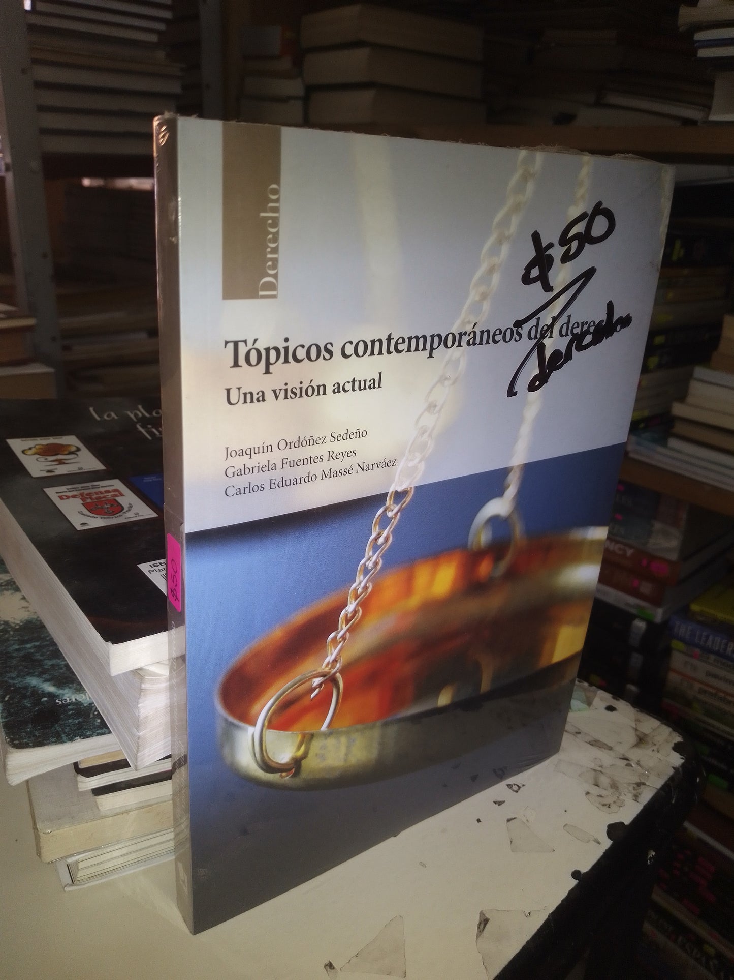 TÓPICOS CONTEMPORÁNEOS DEL DERECHO, UNA VISIÓN ACTUAL (VARIOS AUTORES) USADO DERECHO LITERARIO 207