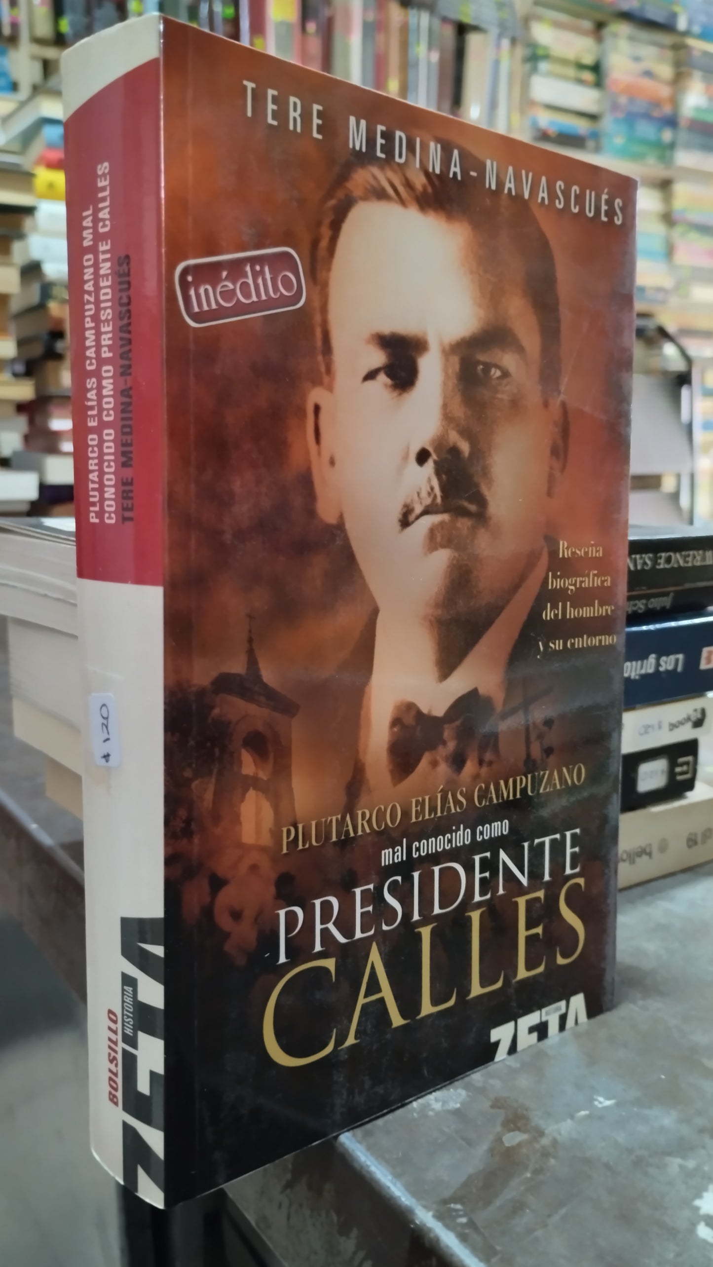 PLUTARCO ELIAS CAMPUZANO MAL CONOCIDO COMO PRESIDENTE CALLES POR TERE MEDINA LIBRO USADO NOVELAS ALDAMA
