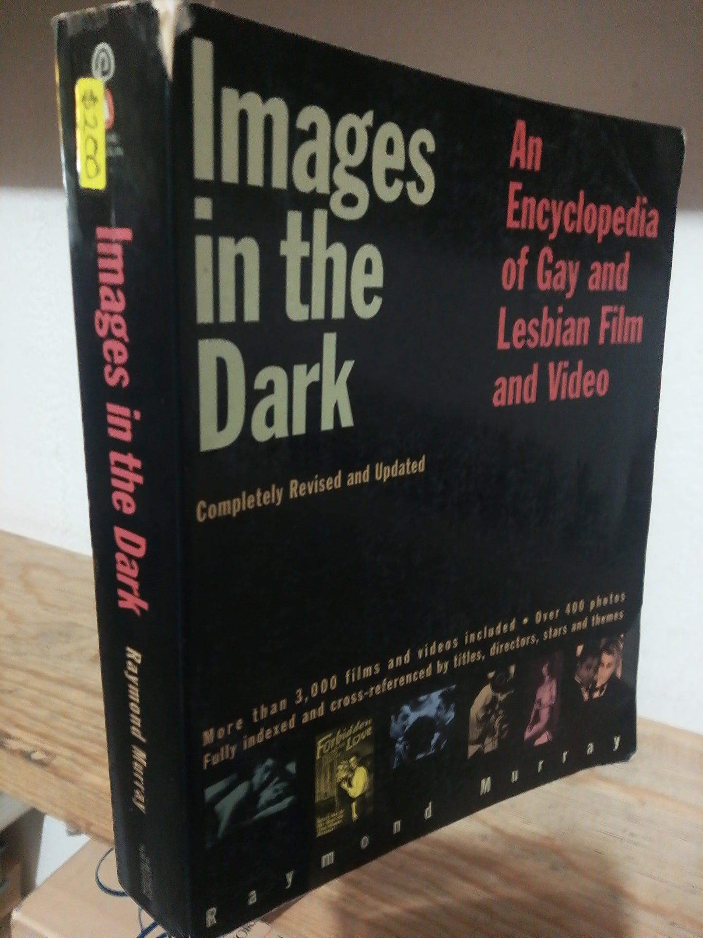 IMAGES IN THE DARK POR RAYMOND MURRAY USADO IDIOMAS JUAREZ