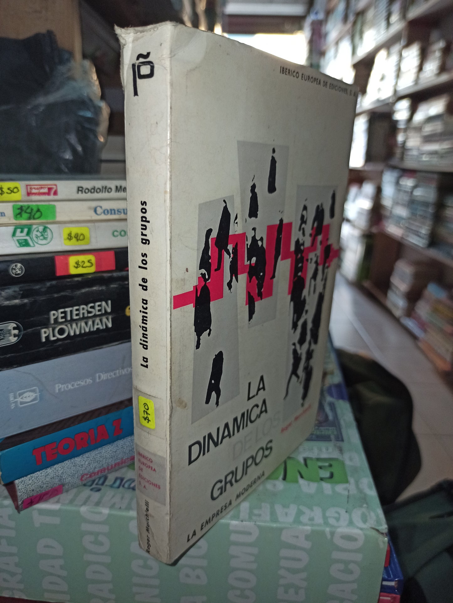 LA DINAMICA DE LOS GRUPOS POR ROGER MUCCHIELL USADO ADMINISTRACIÓN LITERARIO 207