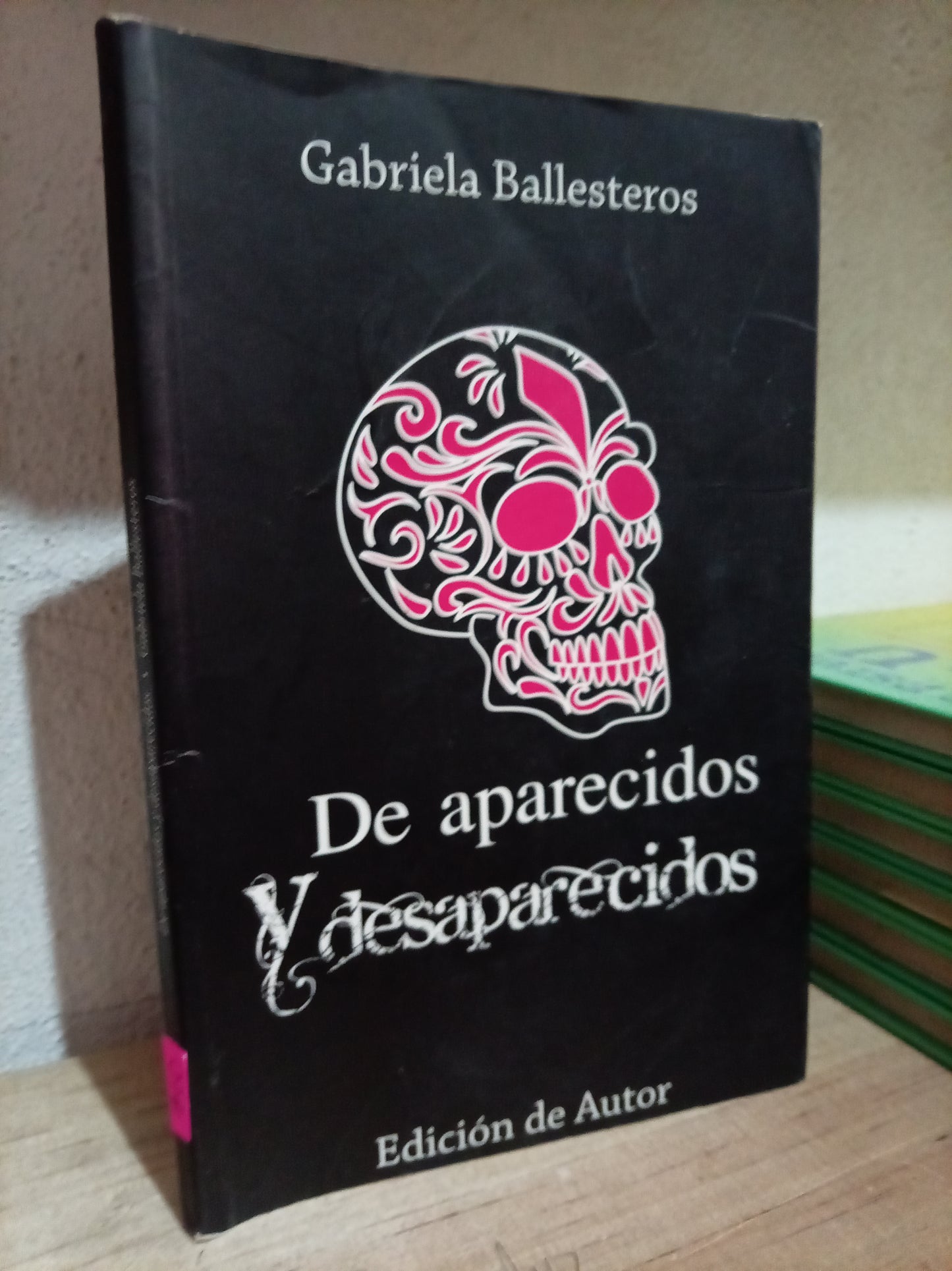 DE APARICIDOS Y DESAPARECIDOS POR GABRIELA BALLESTEROS USADO NOVELA LITERARIO 305