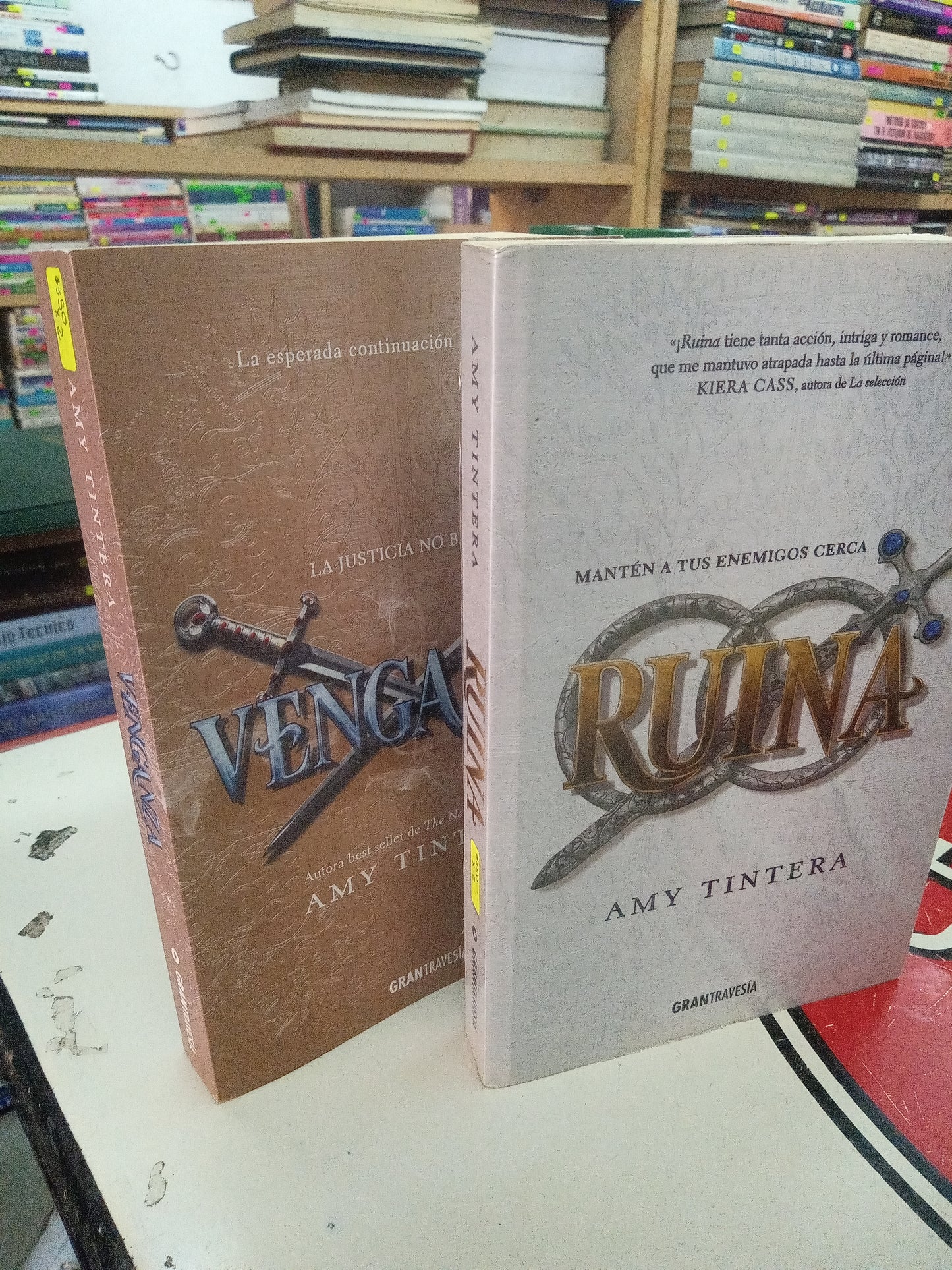 SERIE RUINA POR AMY TINTERA USADO NOVELA II LIBROS ( 250X 2) LITERARIO 207