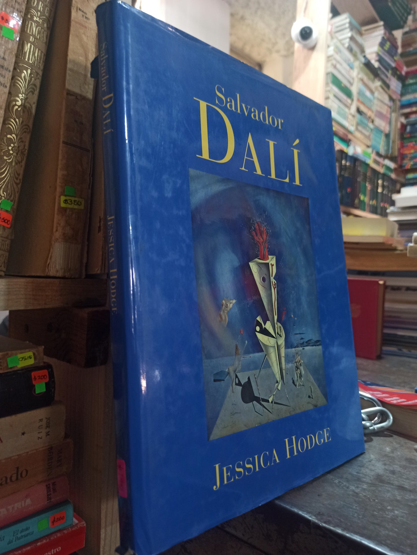 SALVADOR DALI POR JESSICA HODGE USADO ARTES ALDAMA