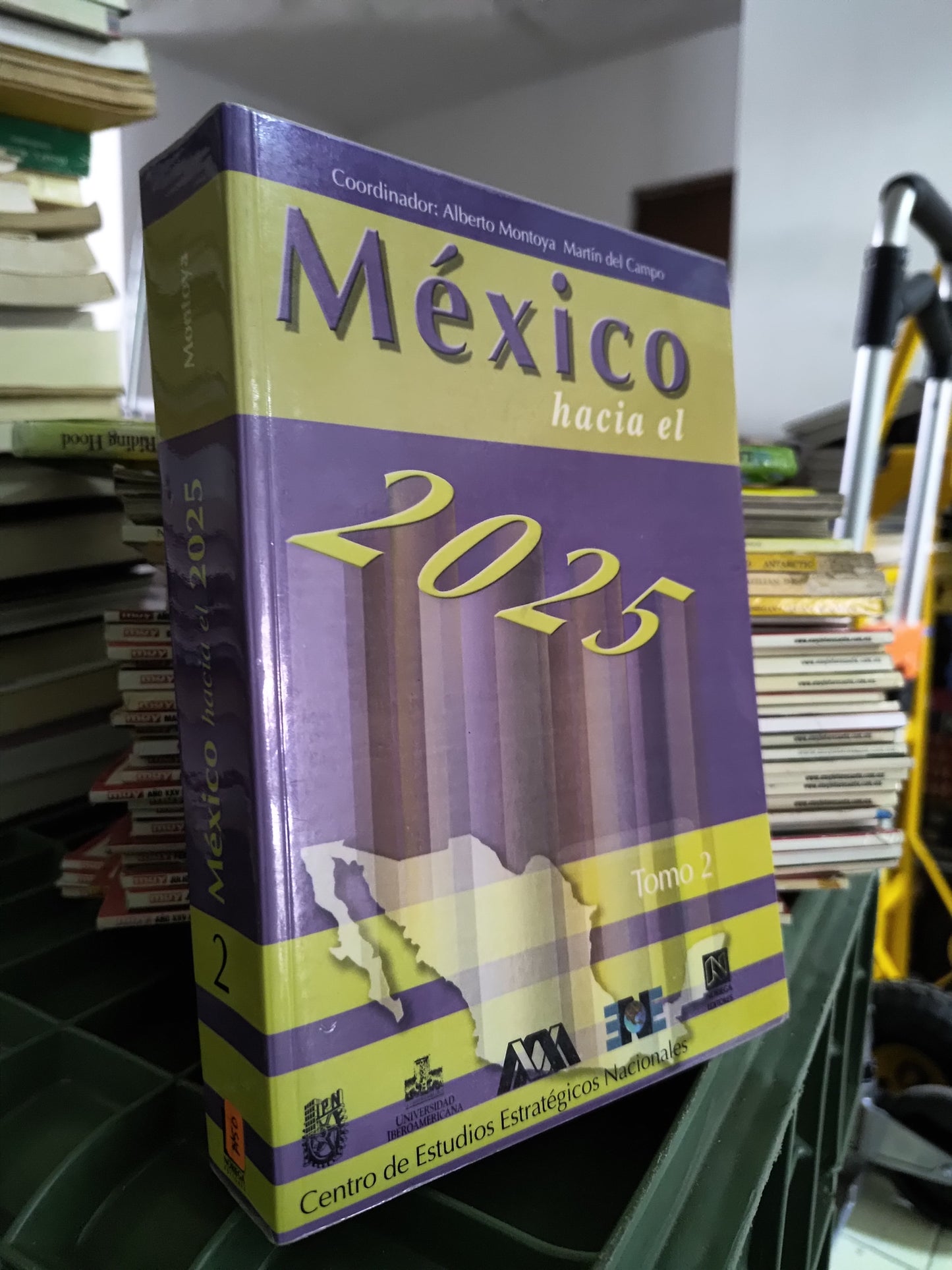 MEXICO HACIA EL 2025 TOMO 2 POR ALBERTO MONTOYA MARTIN USADO POLITICA JUAREZ 515