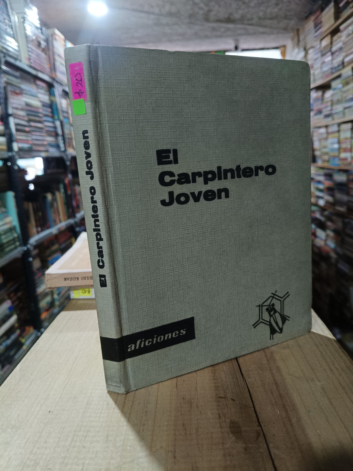 EL CARPINTERO JOVEN VICTOR LOMBAY USADO OFICIOS ALDAMA