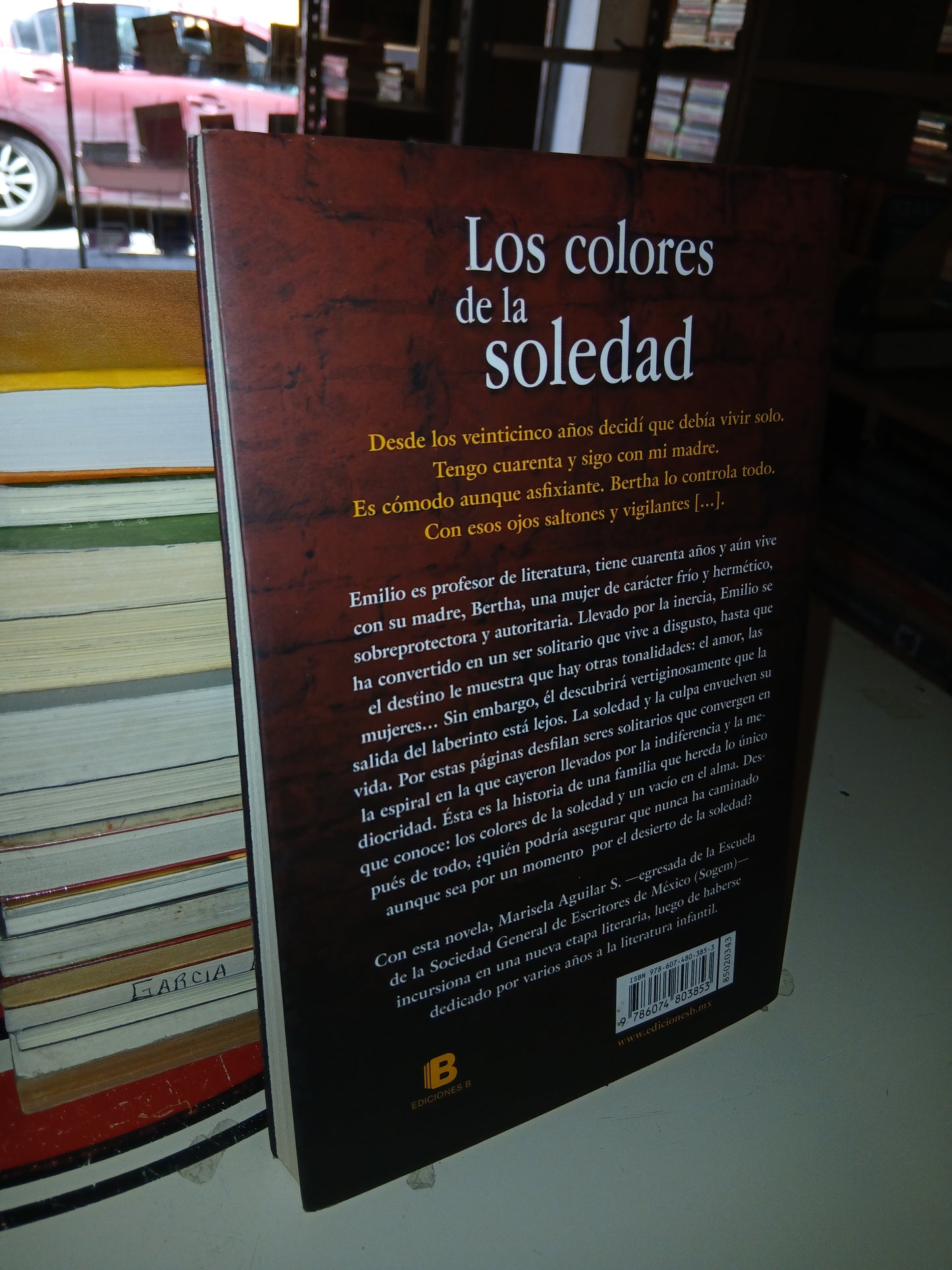 LOS COLORES DE LA SOLEDAD POR MARISELA AGUILAR USADO NOVELA LITERARIO 207