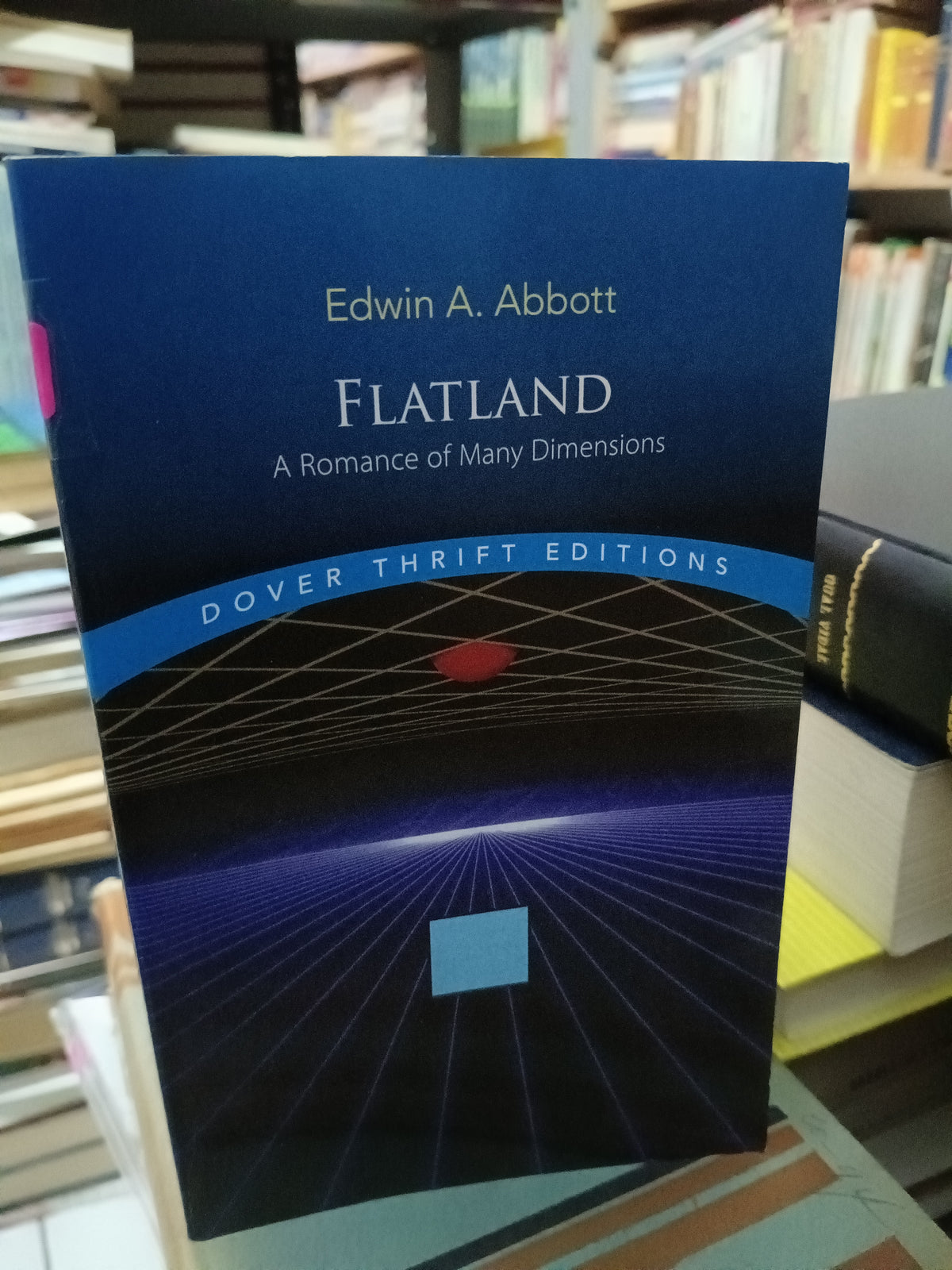 FLATLAND A ROMANCE OF MANY DIMENSIONS EDWIN A ABBOTT USADO IDIOMAS LITERARIO 305