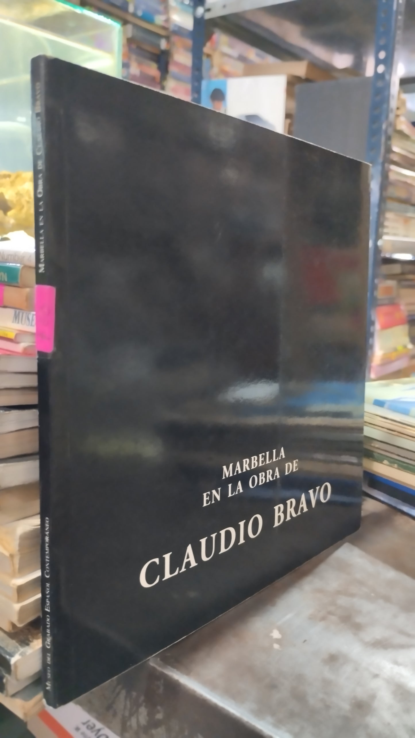 MARBELLA EN LA OBRA DE CLAUDIO BRAVO LIBRO USADO ARTE ALDAMA