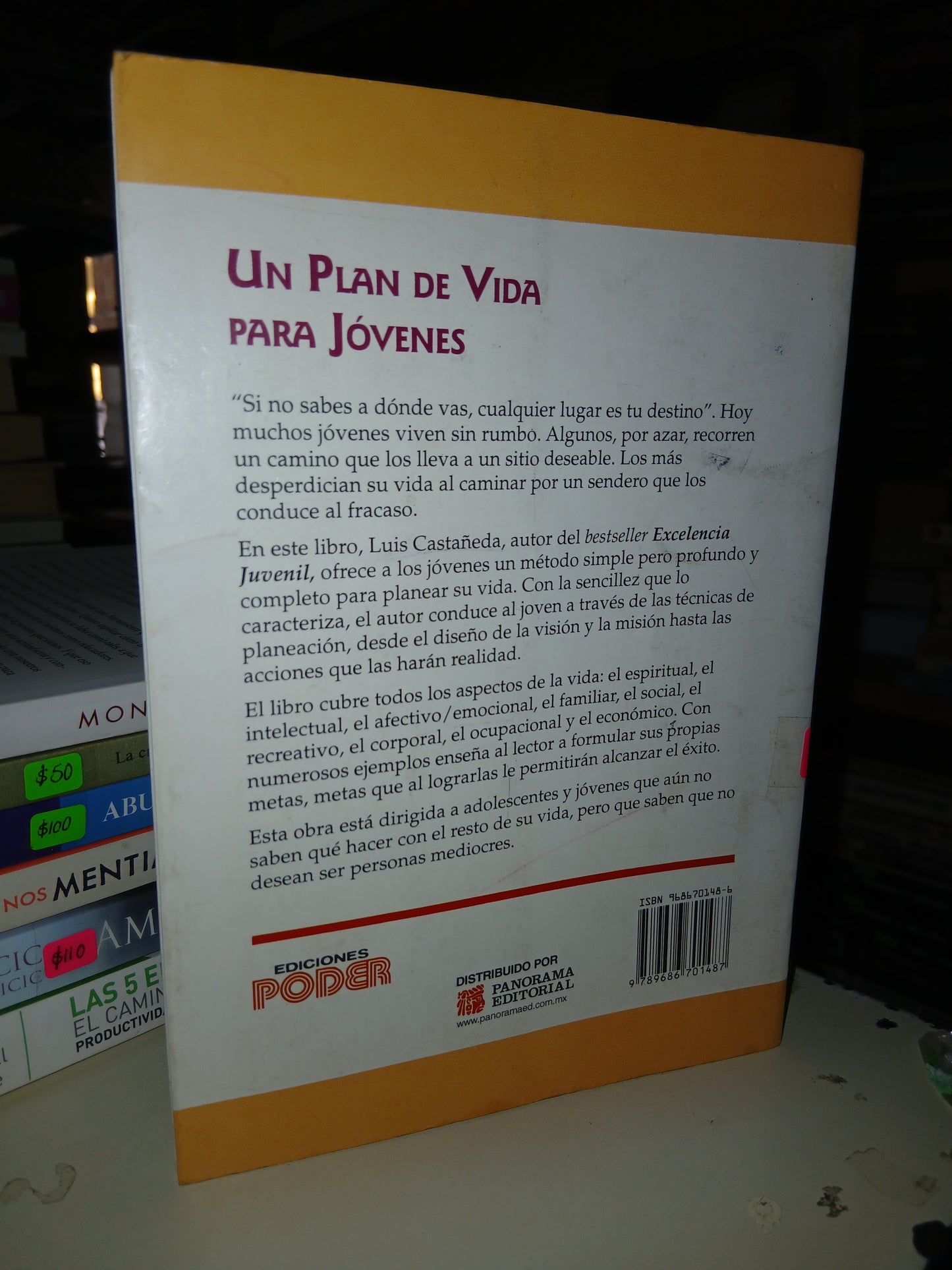 UN PLAN DE VIDA PARA JOVENES POR LUIS CASTAÑEDA USADO SUPERACIÓN PERSONAL LITERARIO 207