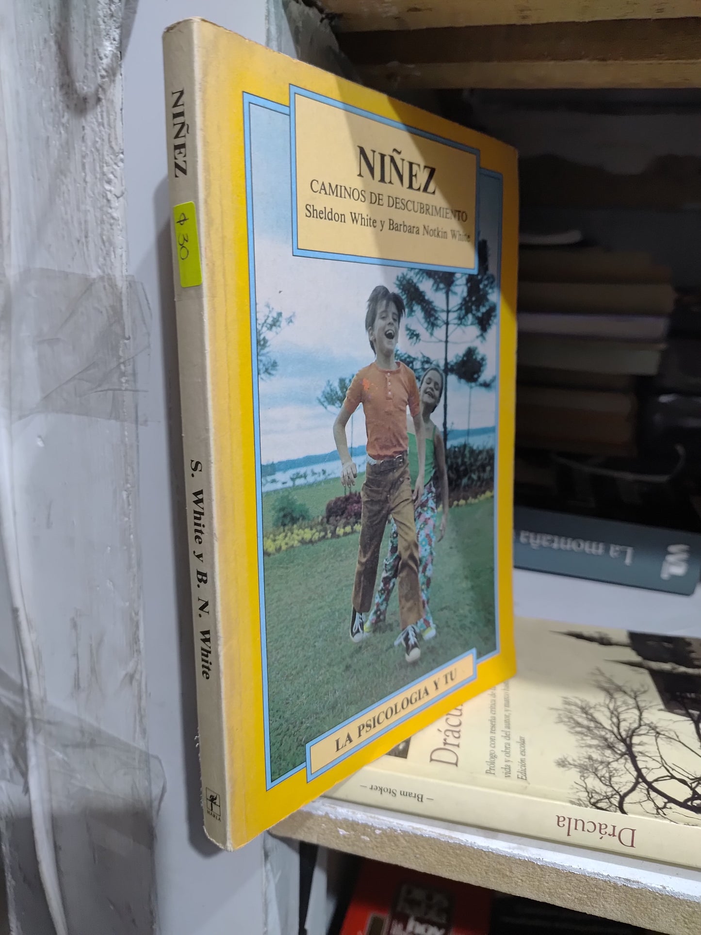 NIÑEZ CAMINO DE DESCUBRIMIENTO POR SHELDON WHITE USADO PSICOLOGIA JUAREZ