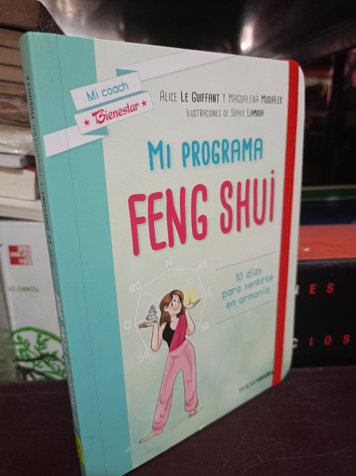 MI PROGRAMA FENG SHUI USADO S.PERSONAL LITERARIO 305